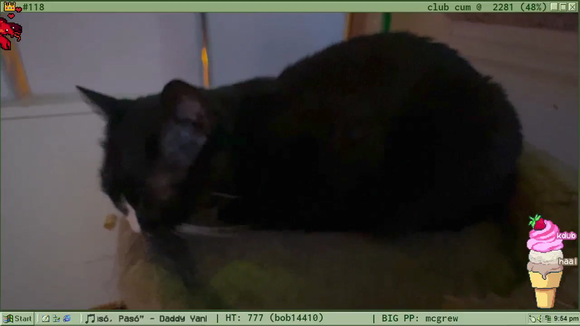 Gallery image thumbnail from TERRA's myfreecams stream on, 08/02/2024, 02:27 image 14 of 20