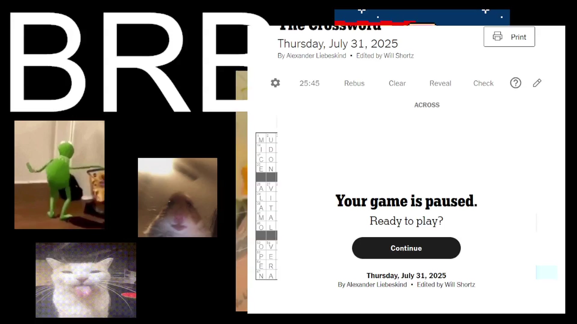 Gallery image thumbnail from TERRA's myfreecams stream on, 08/01/2025, 02:50 image 16 of 20