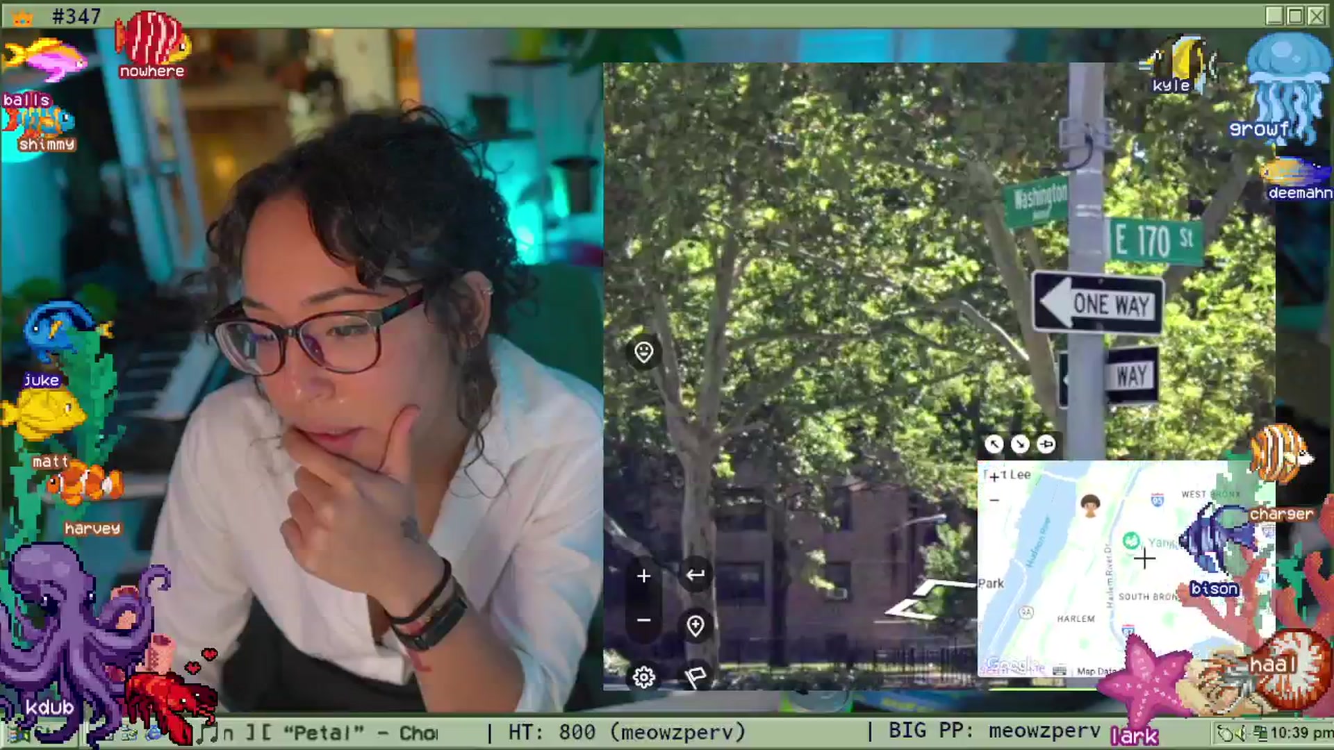 Gallery image thumbnail from TERRA's myfreecams stream on, 08/01/2025, 02:50 image 20 of 20