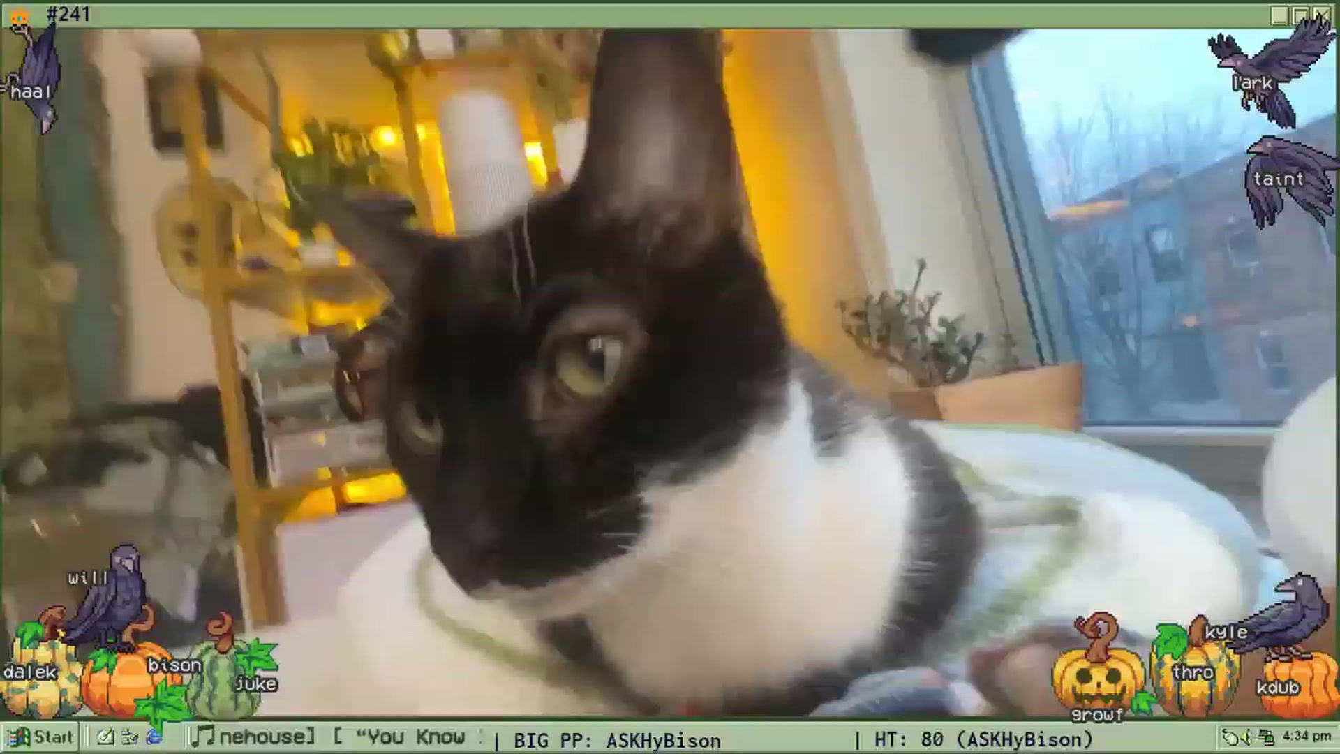 Gallery image thumbnail from TERRA's myfreecams stream on, 11/14/2025, 21:41 image 14 of 20