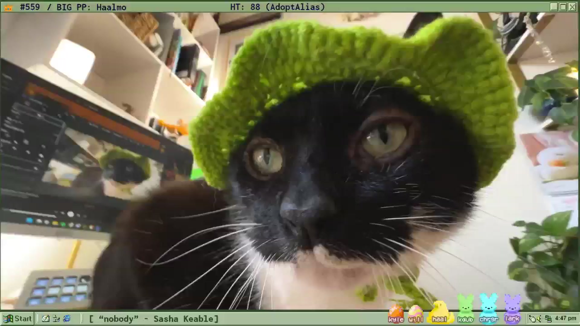 Gallery image thumbnail from TERRA's myfreecams stream on, 04/10/2026, 22:02 image 1 of 20