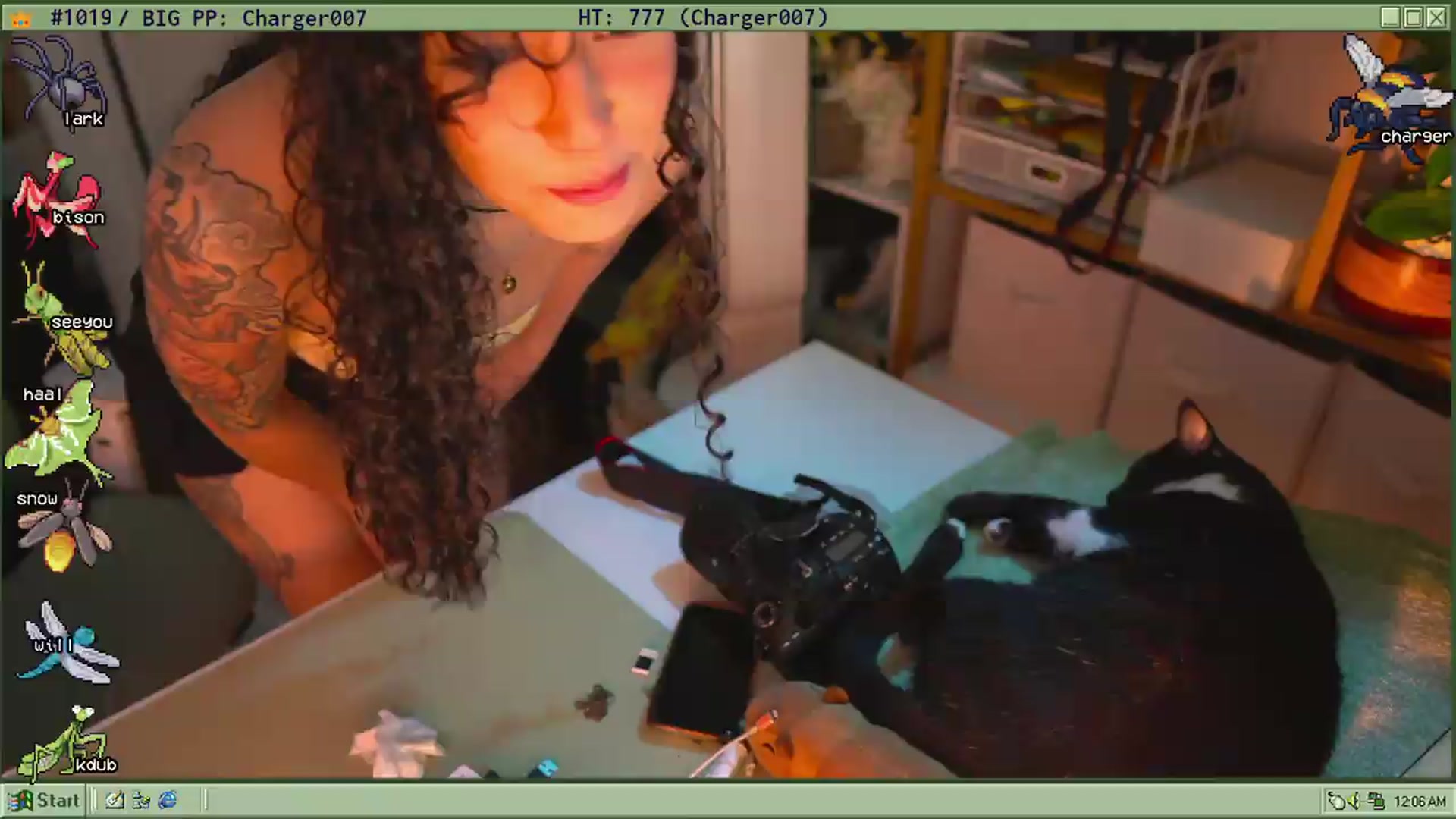 Gallery image thumbnail from TERRA's myfreecams stream on, 07/10/2026, 02:26 image 1 of 20
