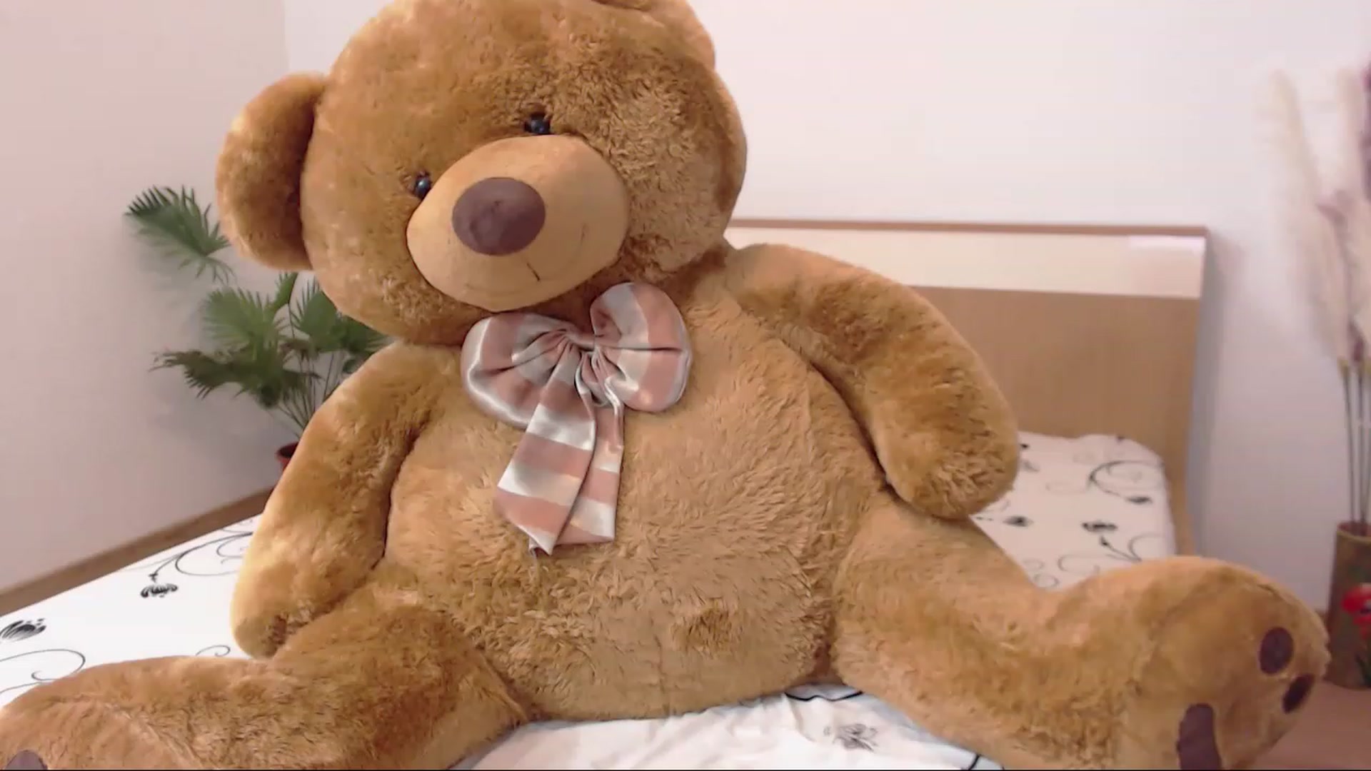 Gallery image thumbnail from THE_Lory's myfreecams stream on, 02/10/2023, 24:08 image 18 of 20