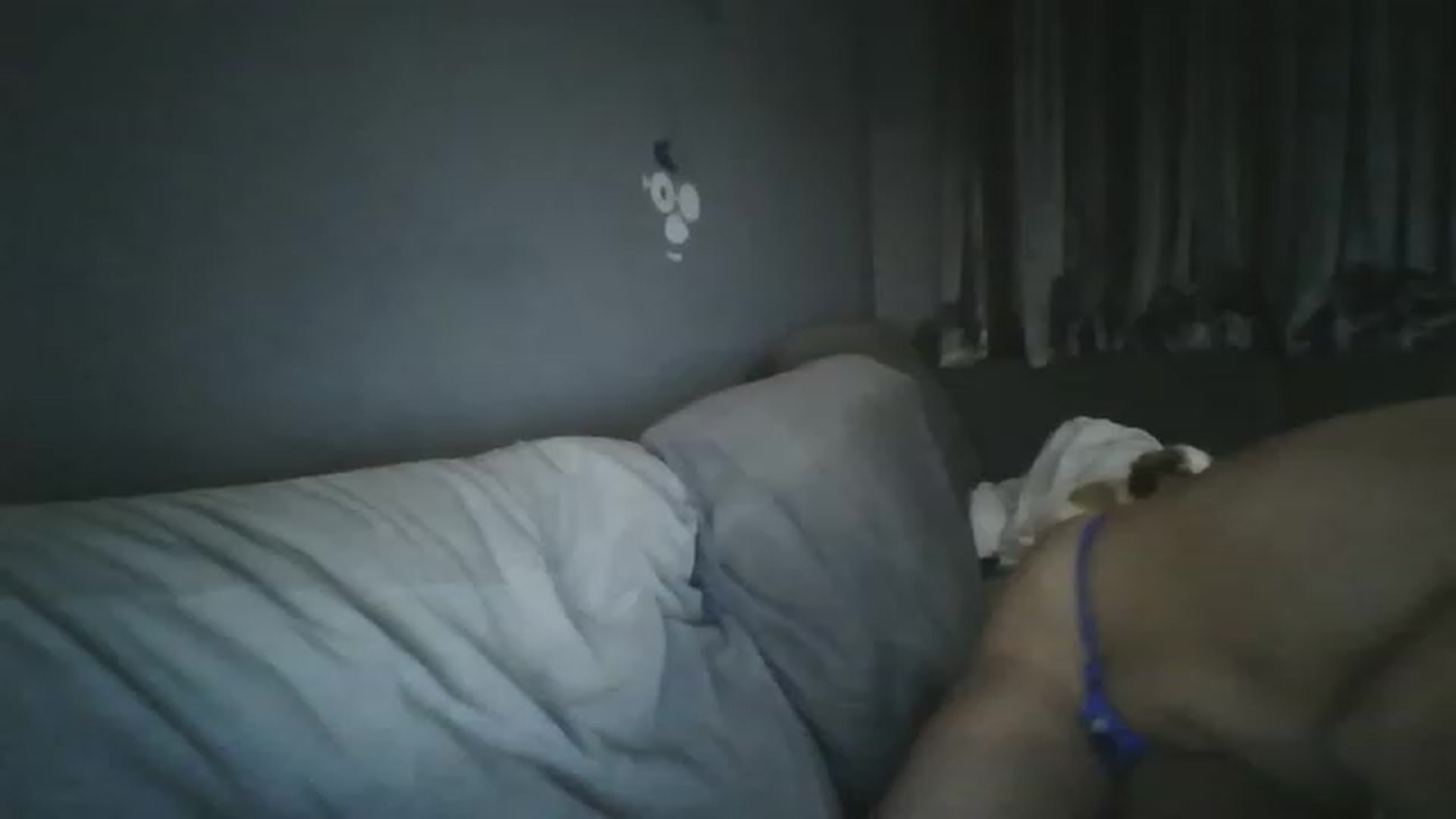 Gallery image thumbnail from TILLY2021's myfreecams stream on, 12/30/2022, 23:44 image 20 of 20