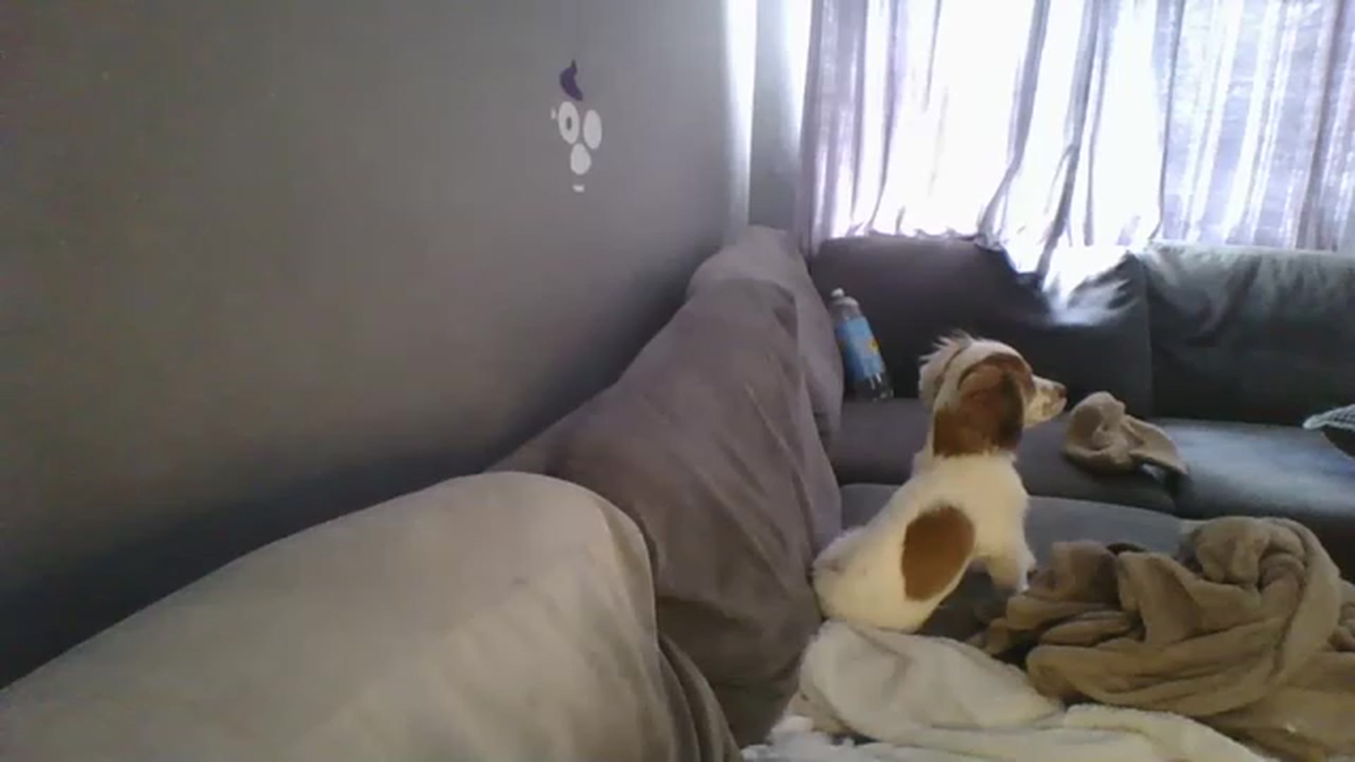 Gallery image thumbnail from TILLY2021's myfreecams stream on, 03/14/2023, 13:08 image 11 of 20