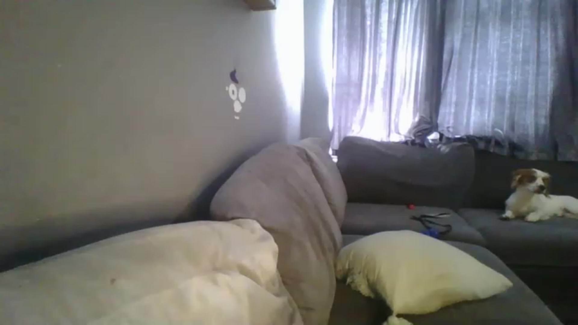 Gallery image thumbnail from TILLY2021's myfreecams stream on, 06/12/2023, 11:50 image 8 of 20
