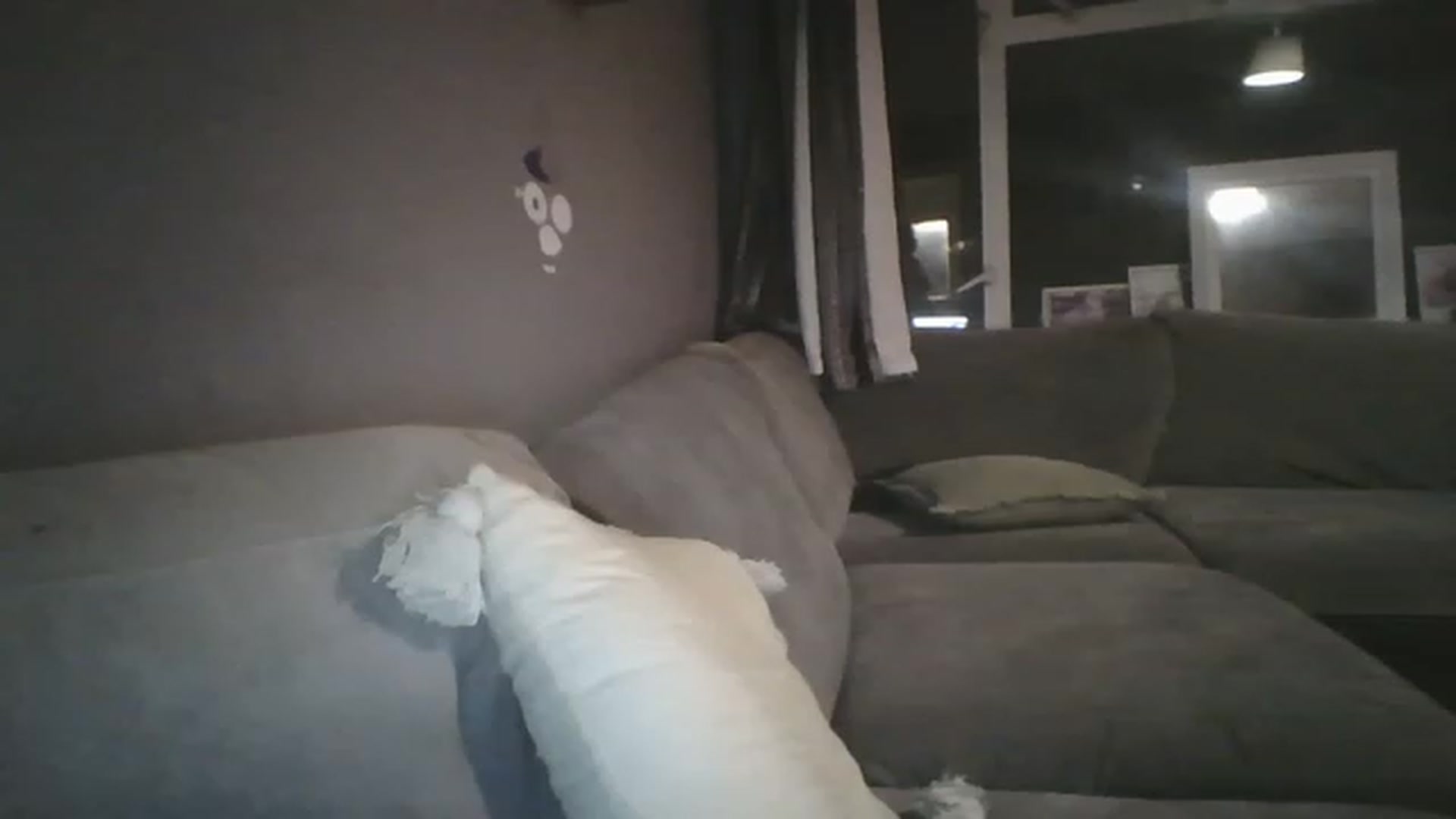 Gallery image thumbnail from TILLY2021's myfreecams stream on, 06/26/2023, 22:21 image 14 of 20