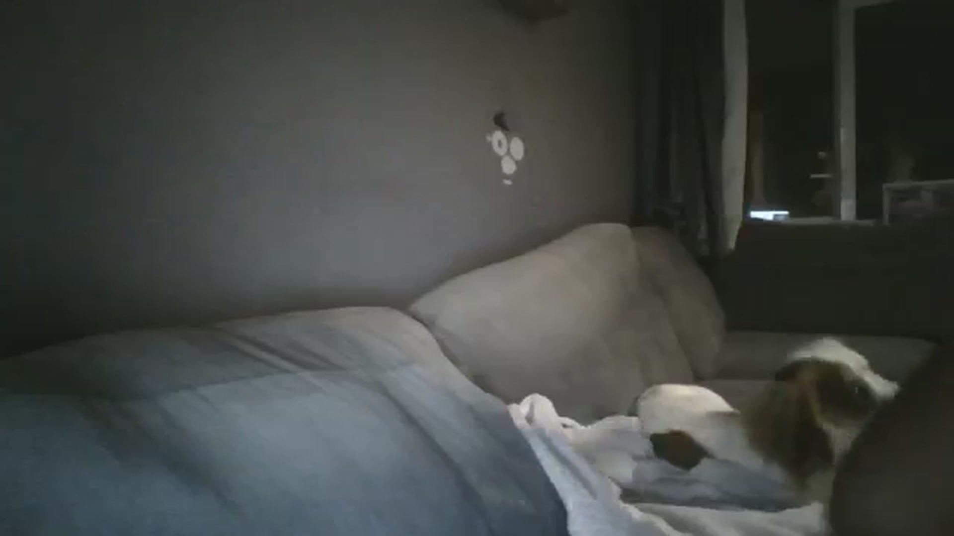 Gallery image thumbnail from TILLY2021's myfreecams stream on, 08/29/2023, 21:43 image 10 of 20