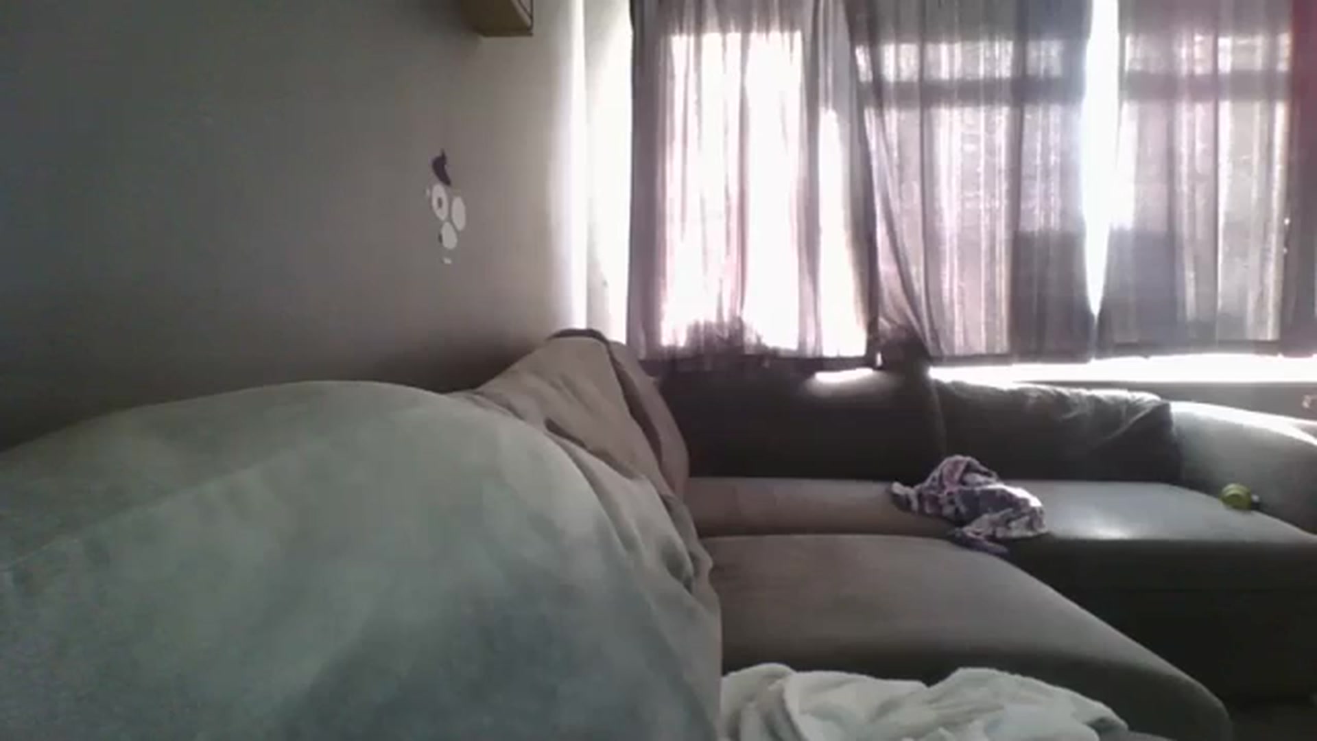 Gallery image thumbnail from TILLY2021's myfreecams stream on, 01/10/2024, 13:17 image 7 of 20