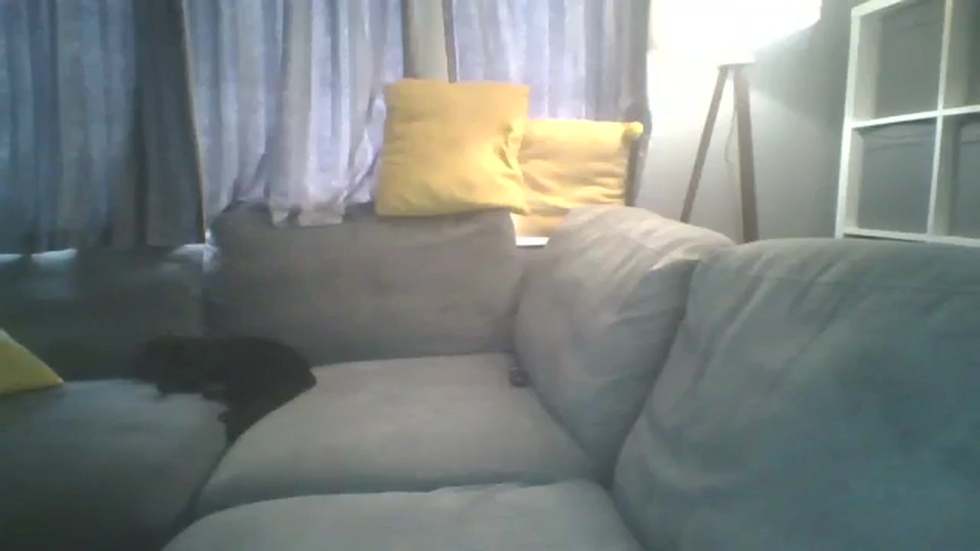 Gallery image thumbnail from TILLY2021's myfreecams stream on, 05/21/2024, 13:33 image 2 of 20