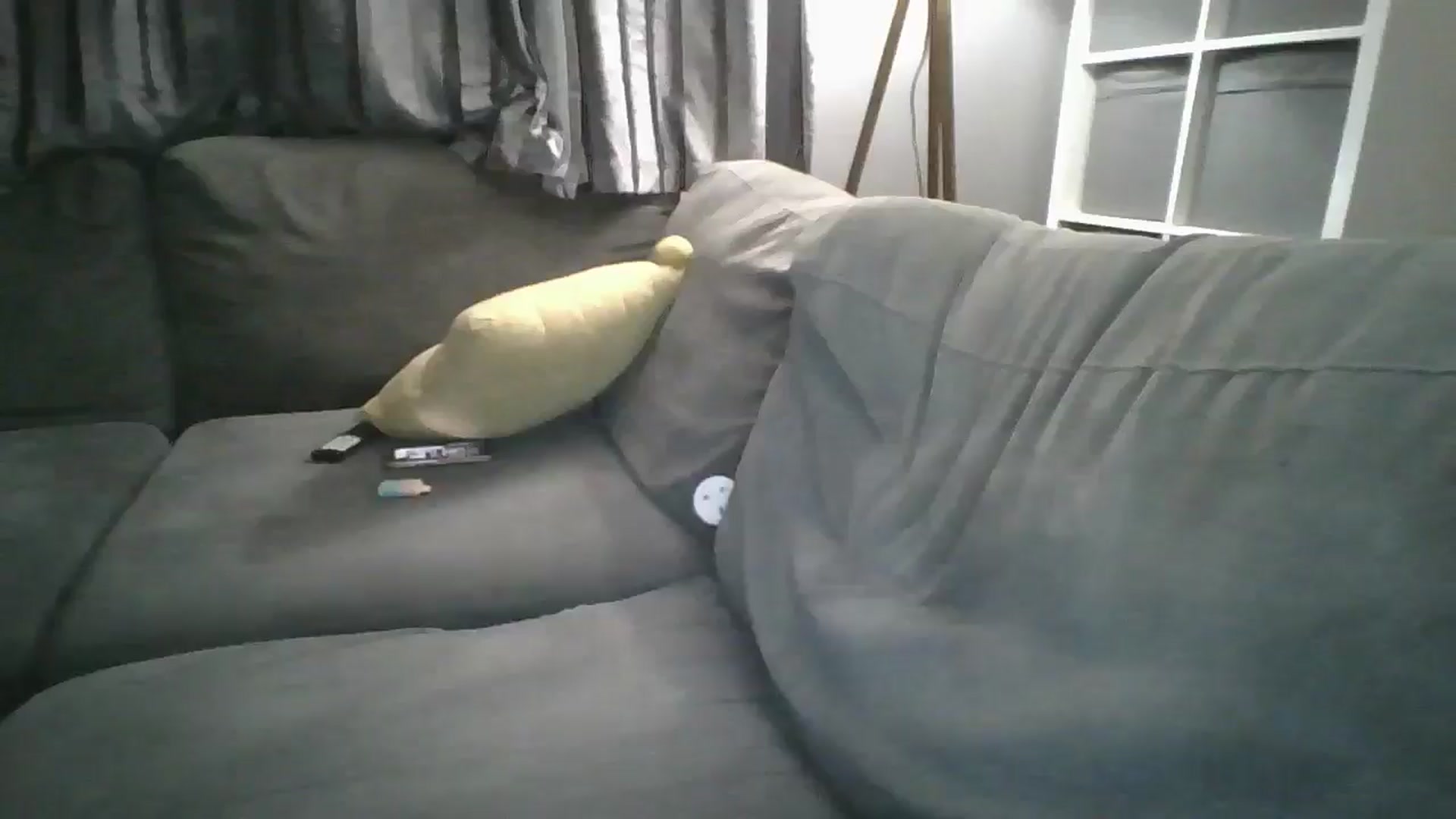 Gallery image thumbnail from TILLY2021's myfreecams stream on, 08/31/2024, 22:52 image 12 of 20