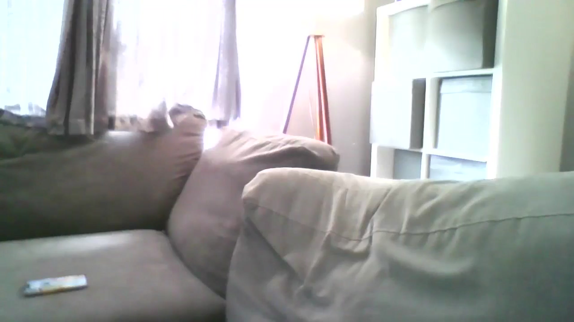 Gallery image thumbnail from TILLY2021's myfreecams stream on, 09/10/2024, 13:22 image 10 of 20