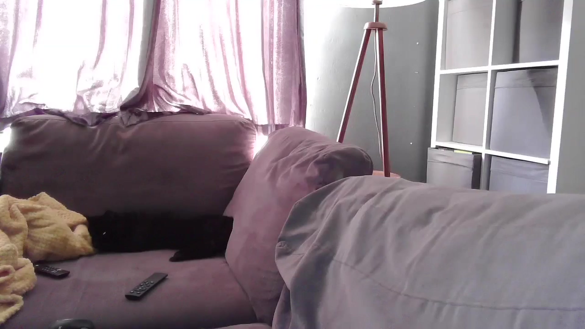 Gallery image thumbnail from TILLY2021's myfreecams stream on, 11/11/2024, 12:15 image 15 of 20