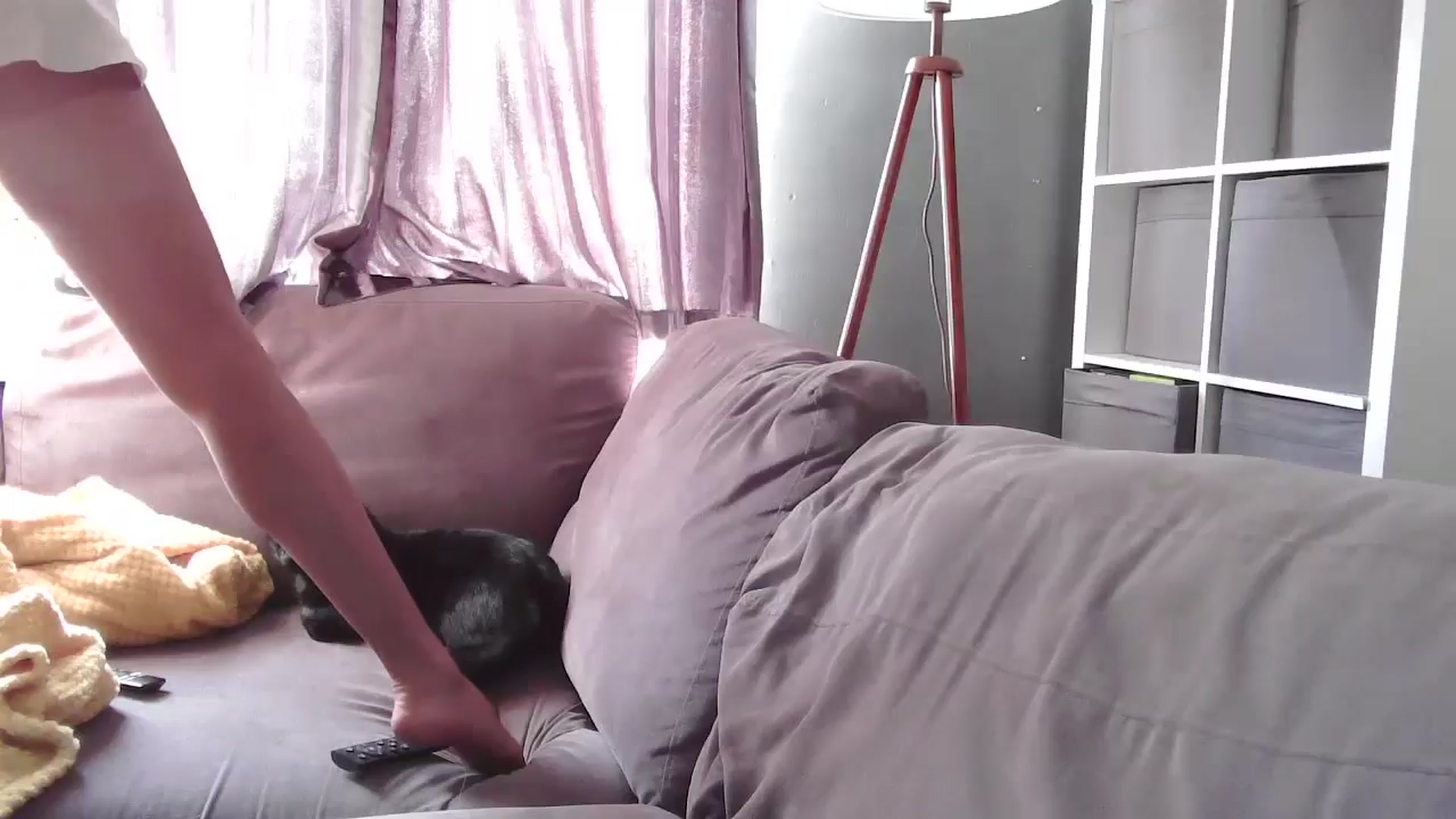 Gallery image thumbnail from TILLY2021's myfreecams stream on, 11/11/2024, 12:15 image 14 of 20