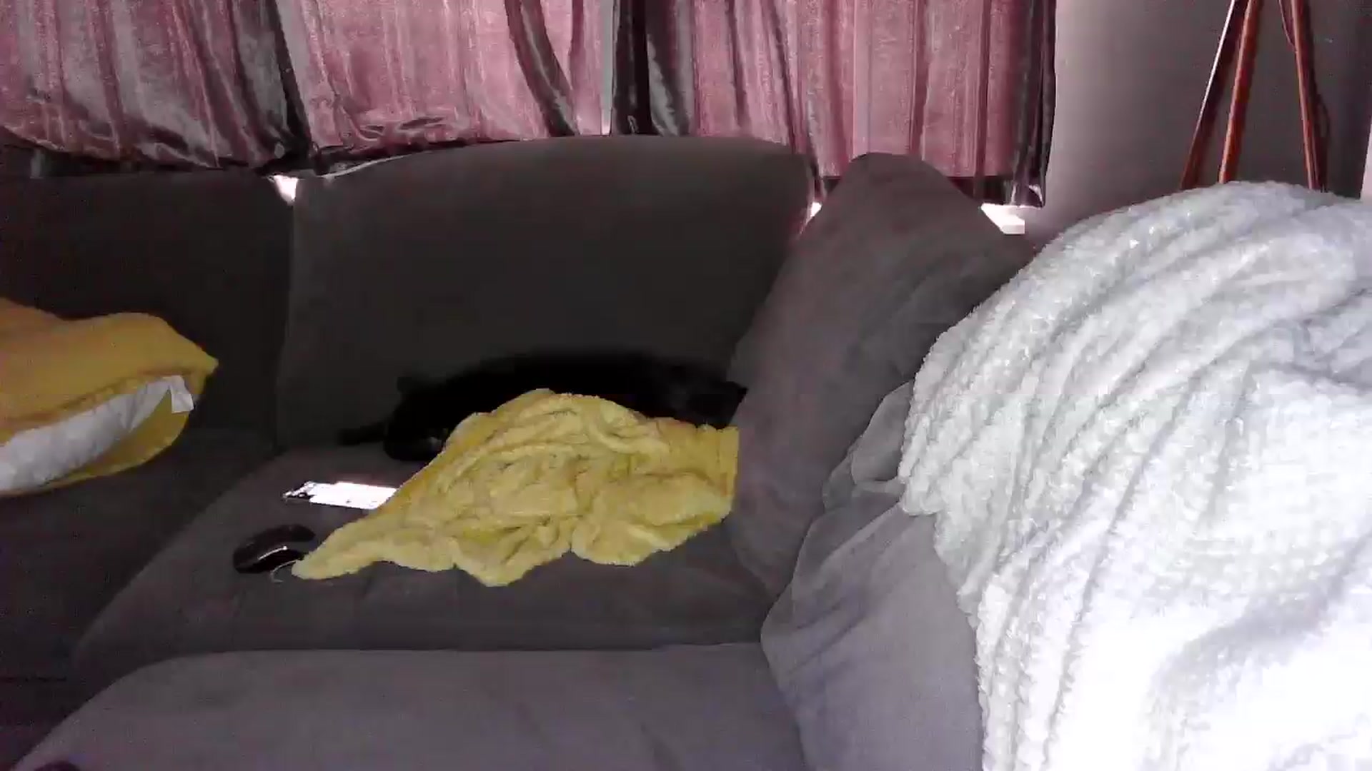 Gallery image thumbnail from TILLY2021's myfreecams stream on, 01/27/2025, 13:17 image 17 of 20