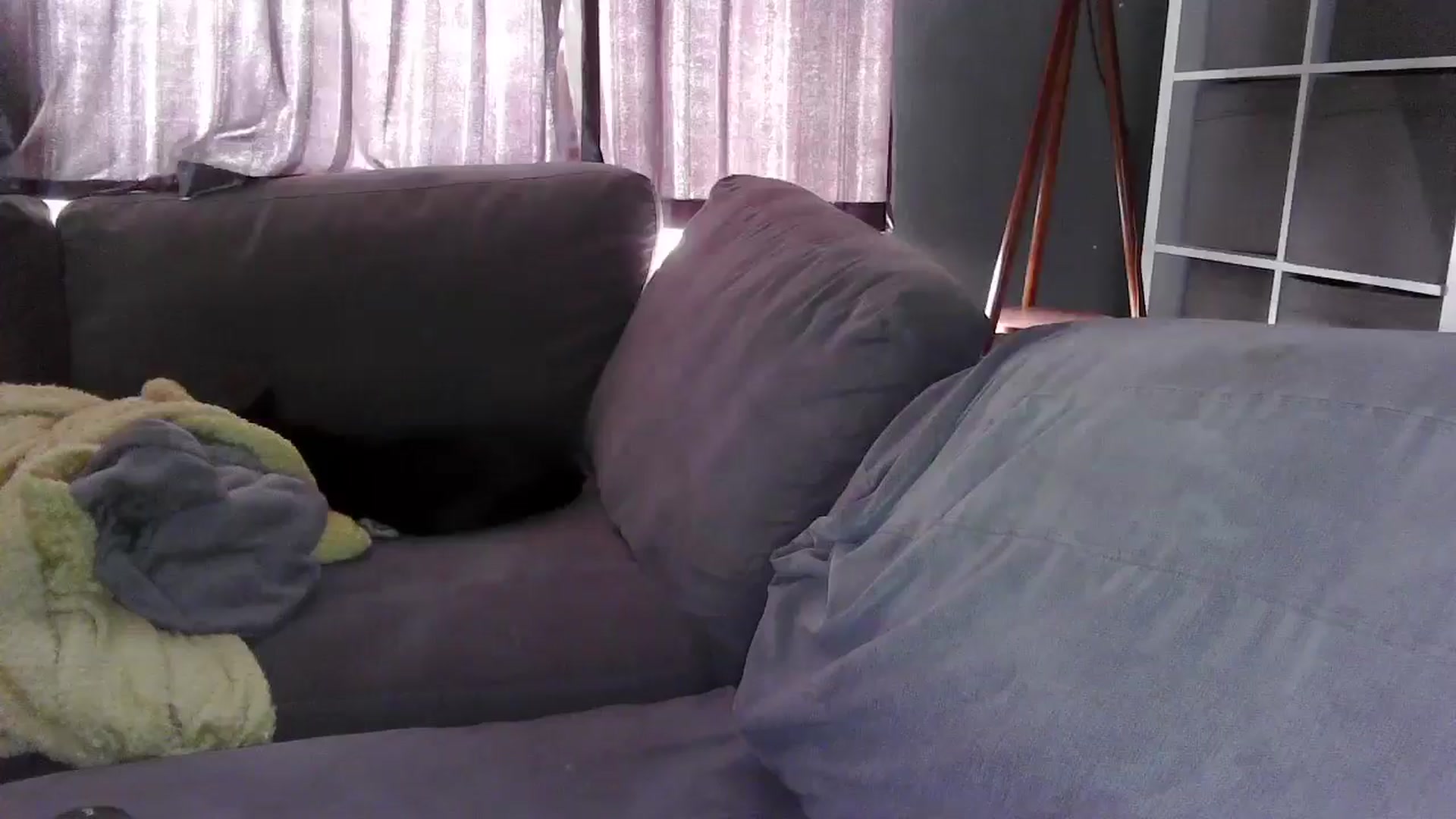 Gallery image thumbnail from TILLY2021's myfreecams stream on, 01/28/2025, 11:53 image 8 of 20