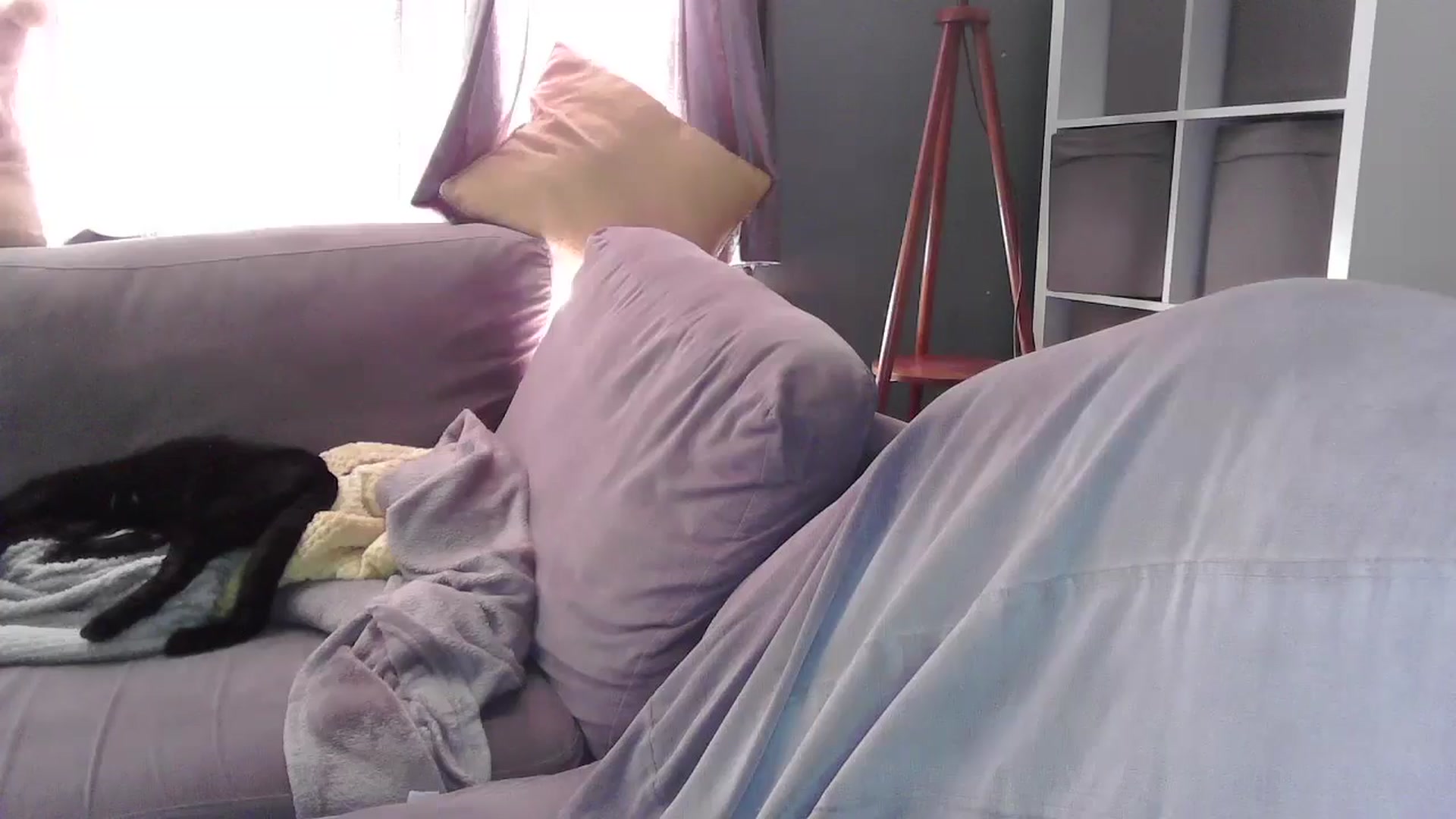 Gallery image thumbnail from TILLY2021's myfreecams stream on, 02/05/2025, 12:35 image 6 of 20
