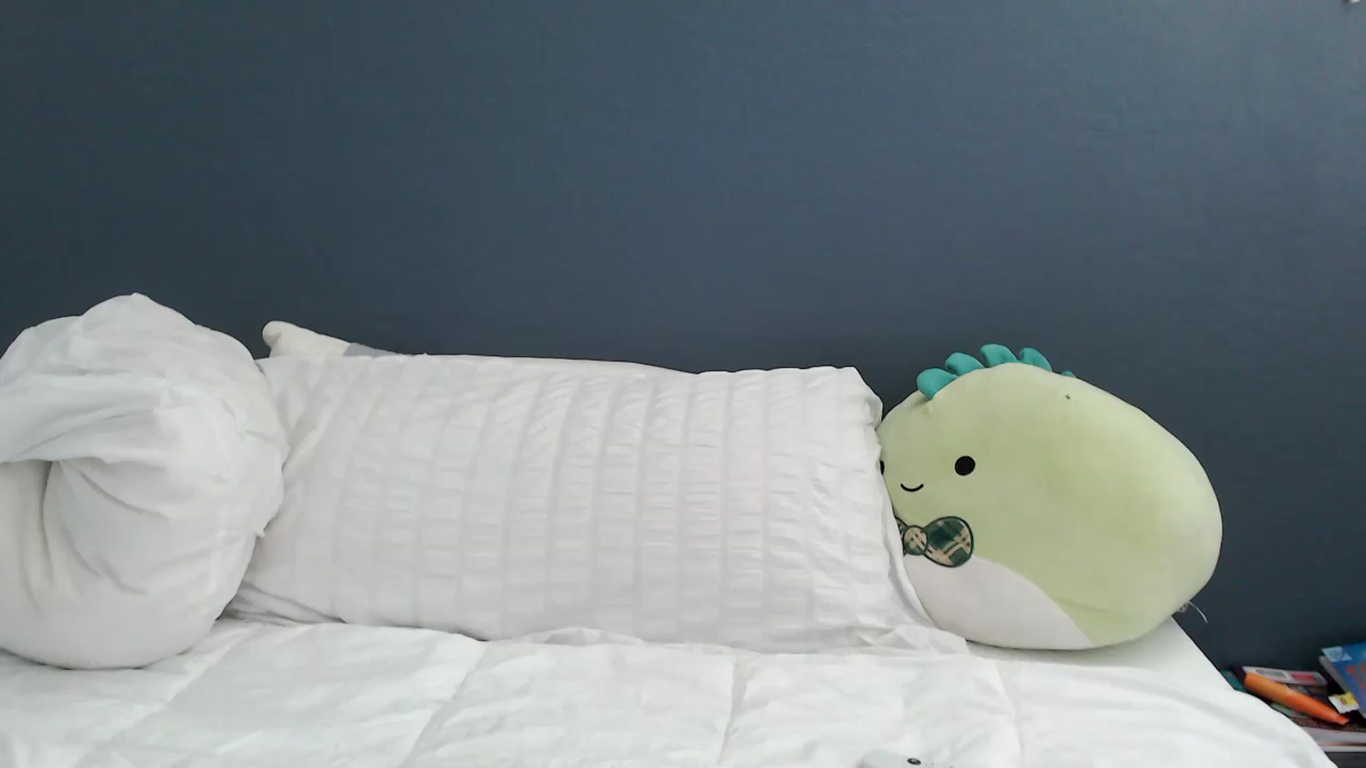 Gallery image thumbnail from TURTLEBABY27's myfreecams stream on, 03/13/2024, 19:39 image 17 of 20