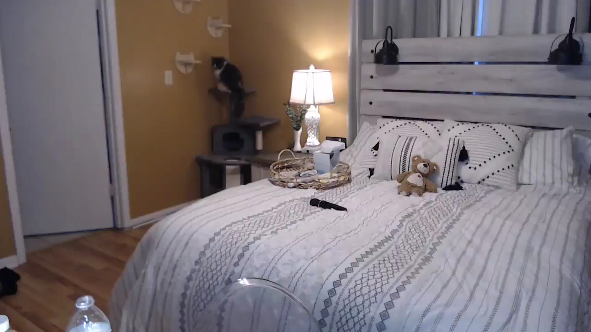 Gallery image thumbnail from TXHouseWife's myfreecams stream on, 05/14/2025, 19:49 image 7 of 20