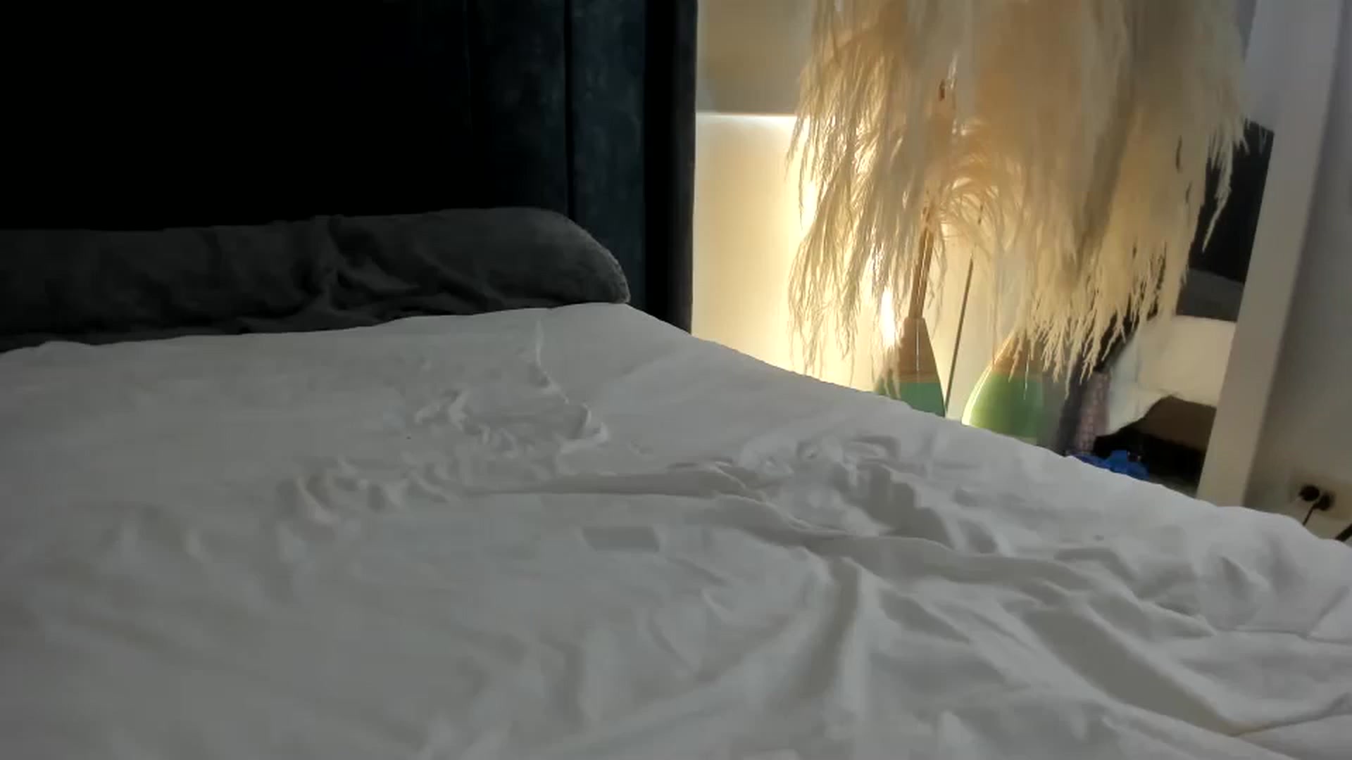 Gallery image thumbnail from T_A_R_A's myfreecams stream on, 05/31/2024, 15:53 image 15 of 20