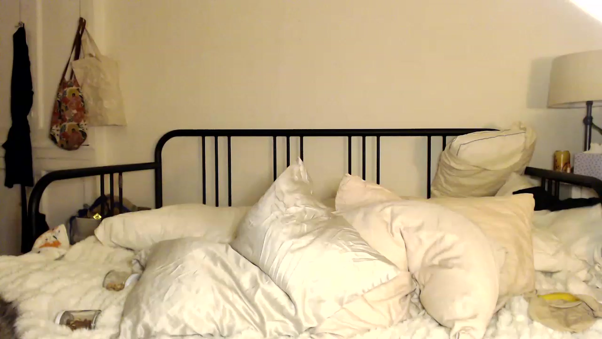 Gallery image thumbnail from Tallulahfox's myfreecams stream on, 12/15/2022, 01:59 image 19 of 20
