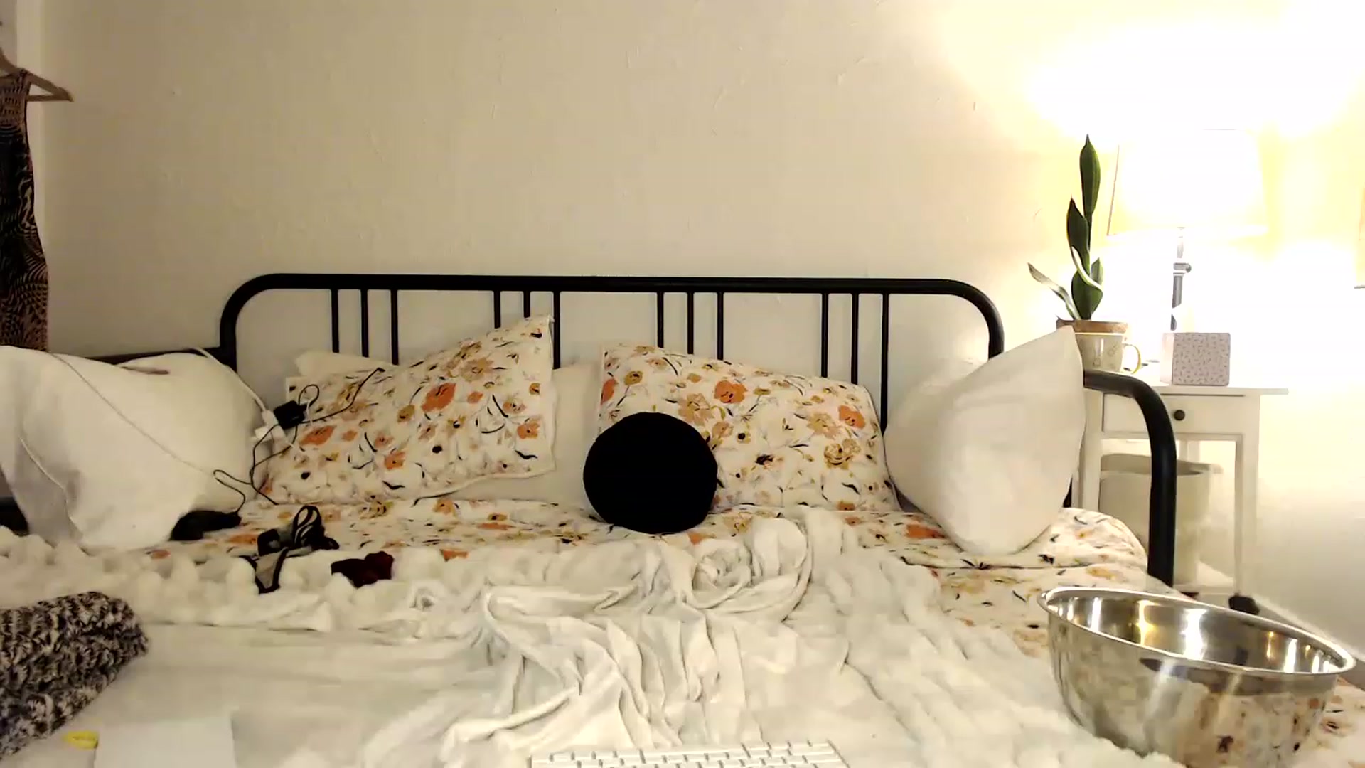 Gallery image thumbnail from Tallulahfox's myfreecams stream on, 01/06/2023, 06:21 image 12 of 20