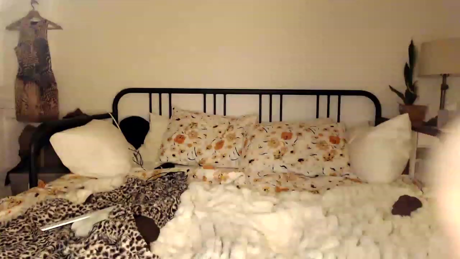 Gallery image thumbnail from Tallulahfox's myfreecams stream on, 01/09/2023, 04:56 image 5 of 20
