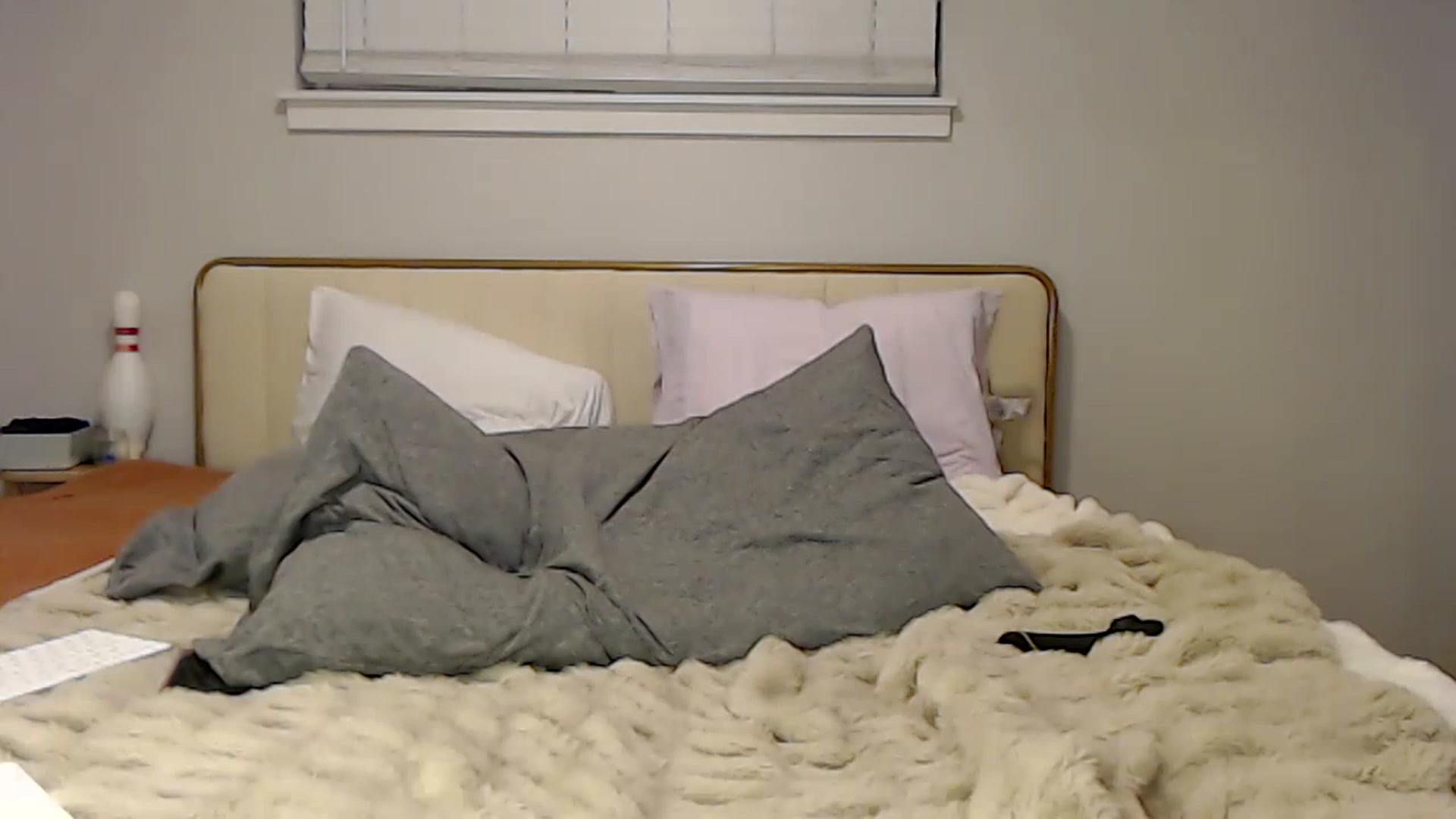 Gallery image thumbnail from Tallulahfox's myfreecams stream on, 02/17/2023, 06:41 image 12 of 20