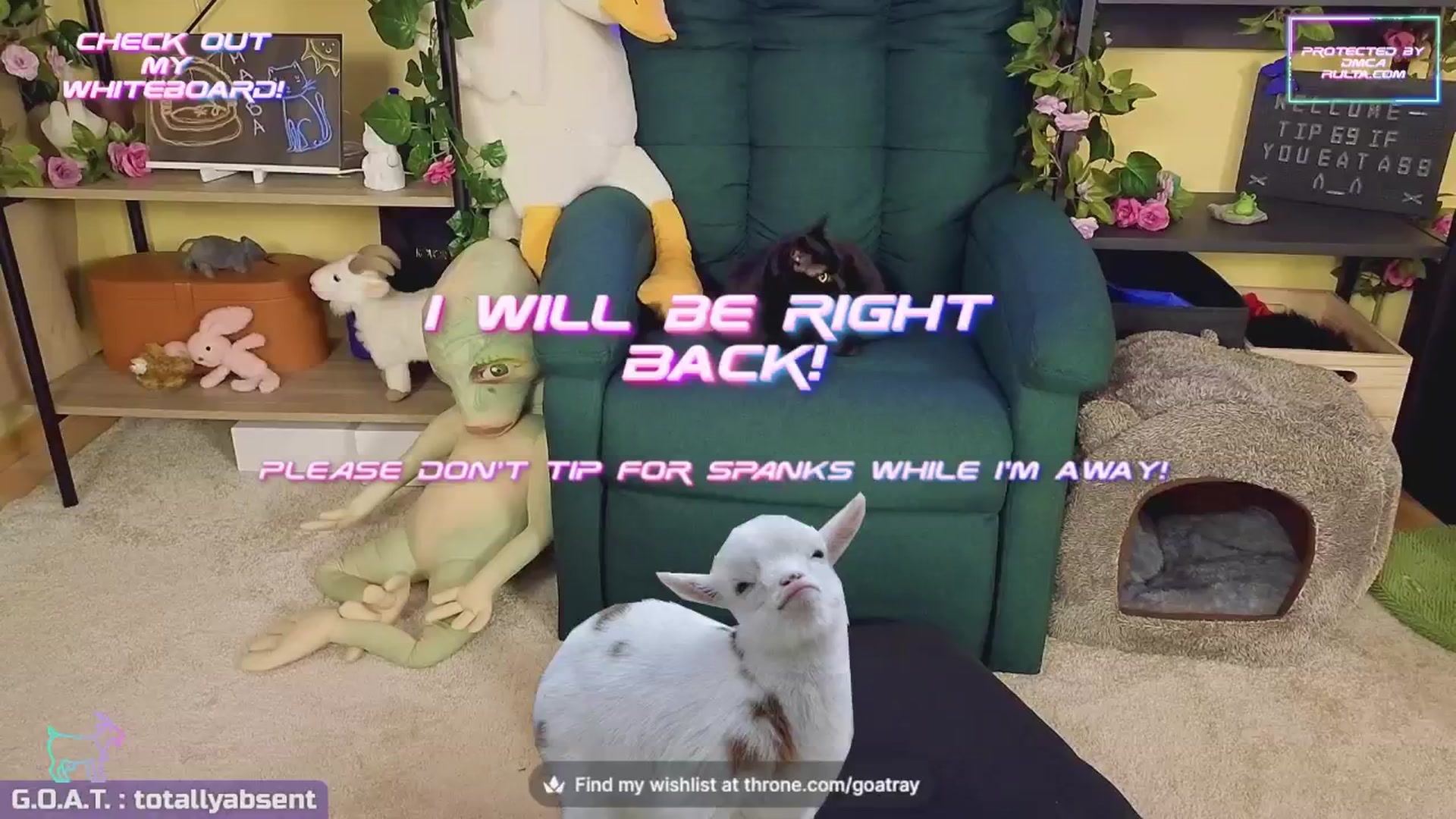 Gallery image thumbnail from TamaraRay's myfreecams stream on, 04/29/2024, 08:13 image 8 of 20