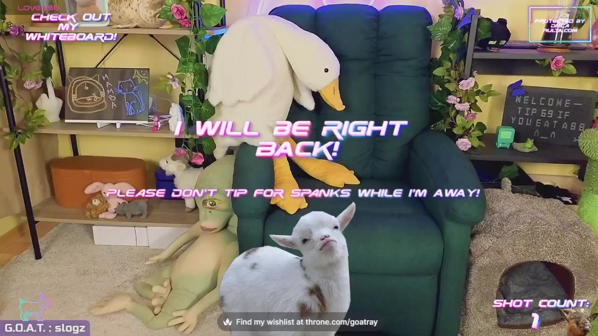 Gallery image thumbnail from TamaraRay's myfreecams stream on, 06/02/2024, 05:22 image 10 of 20