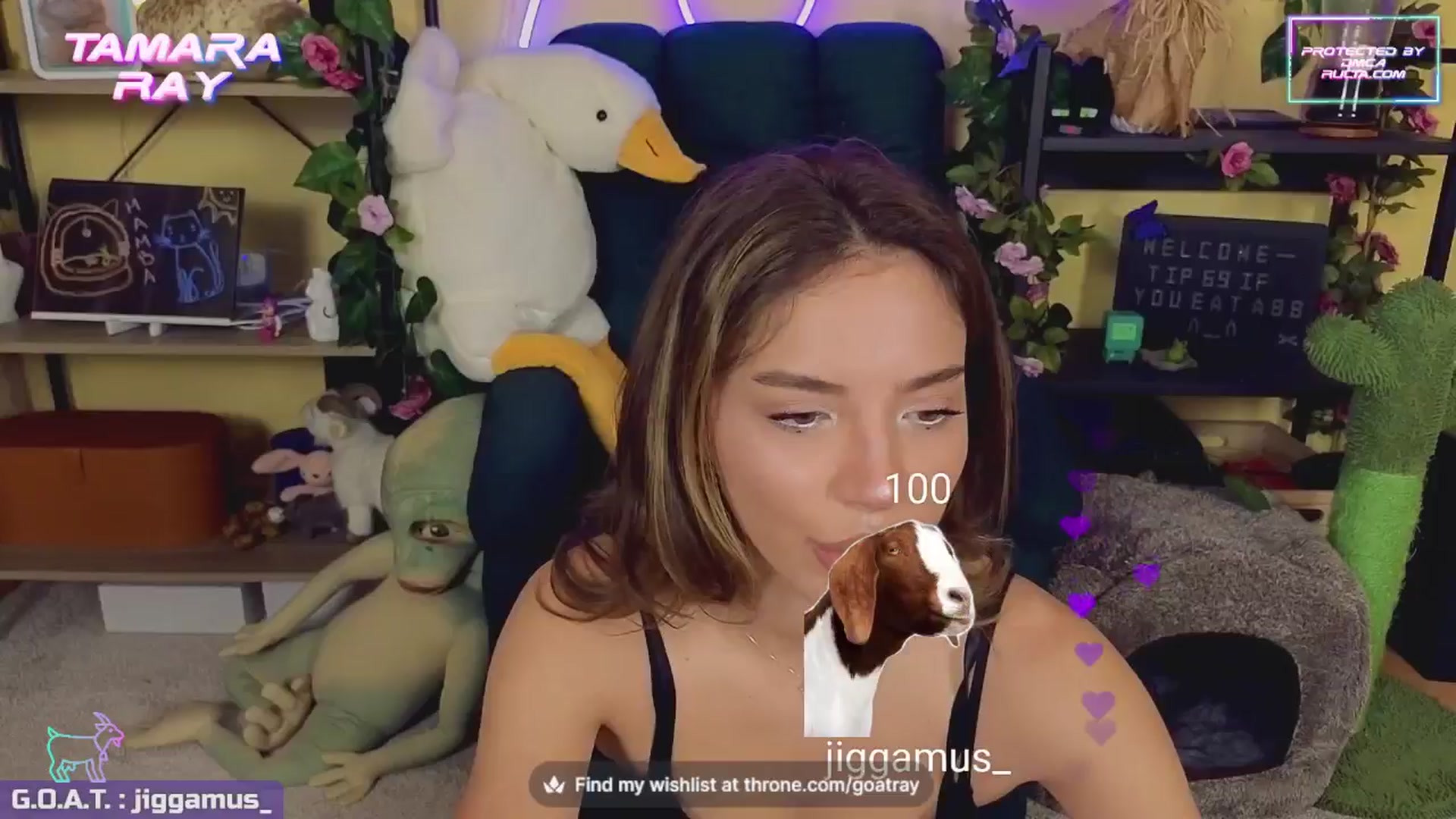 Gallery image thumbnail from TamaraRay's myfreecams stream on, 06/10/2024, 05:36 image 1 of 20