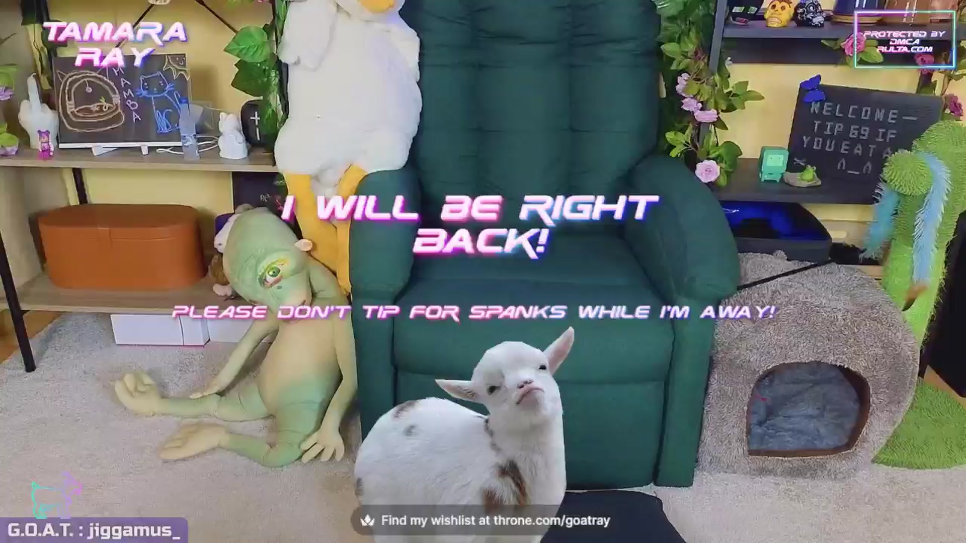 Gallery image thumbnail from TamaraRay's myfreecams stream on, 07/29/2024, 07:07 image 7 of 20