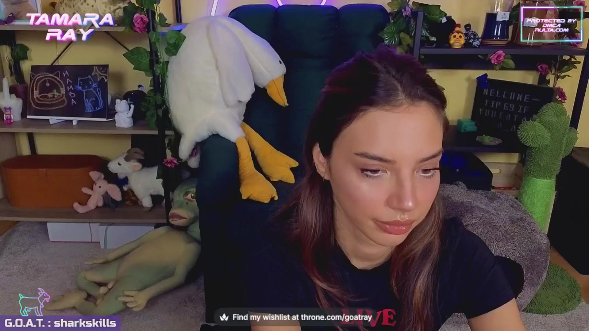 Gallery image thumbnail from TamaraRay's myfreecams stream on, 08/19/2024, 04:34 image 7 of 20