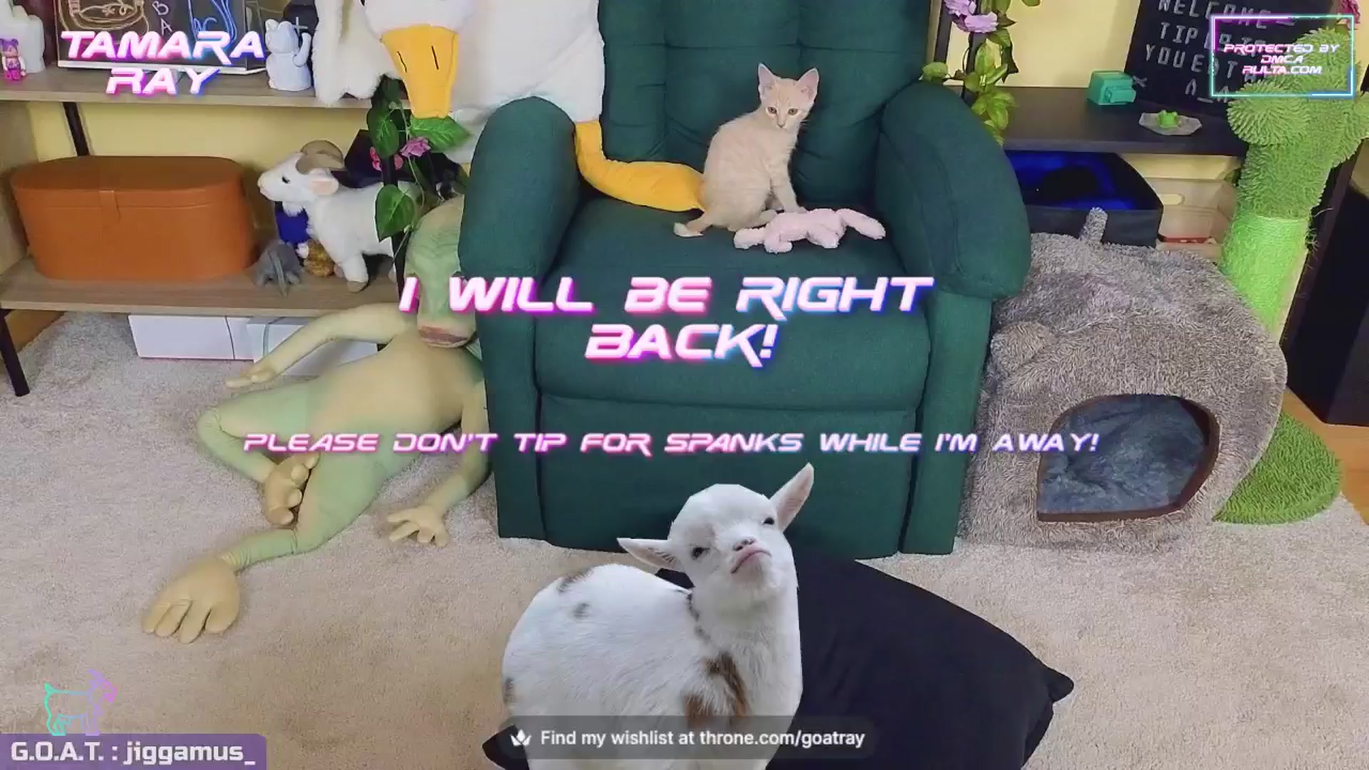 Gallery image thumbnail from TamaraRay's myfreecams stream on, 08/21/2024, 07:04 image 2 of 20