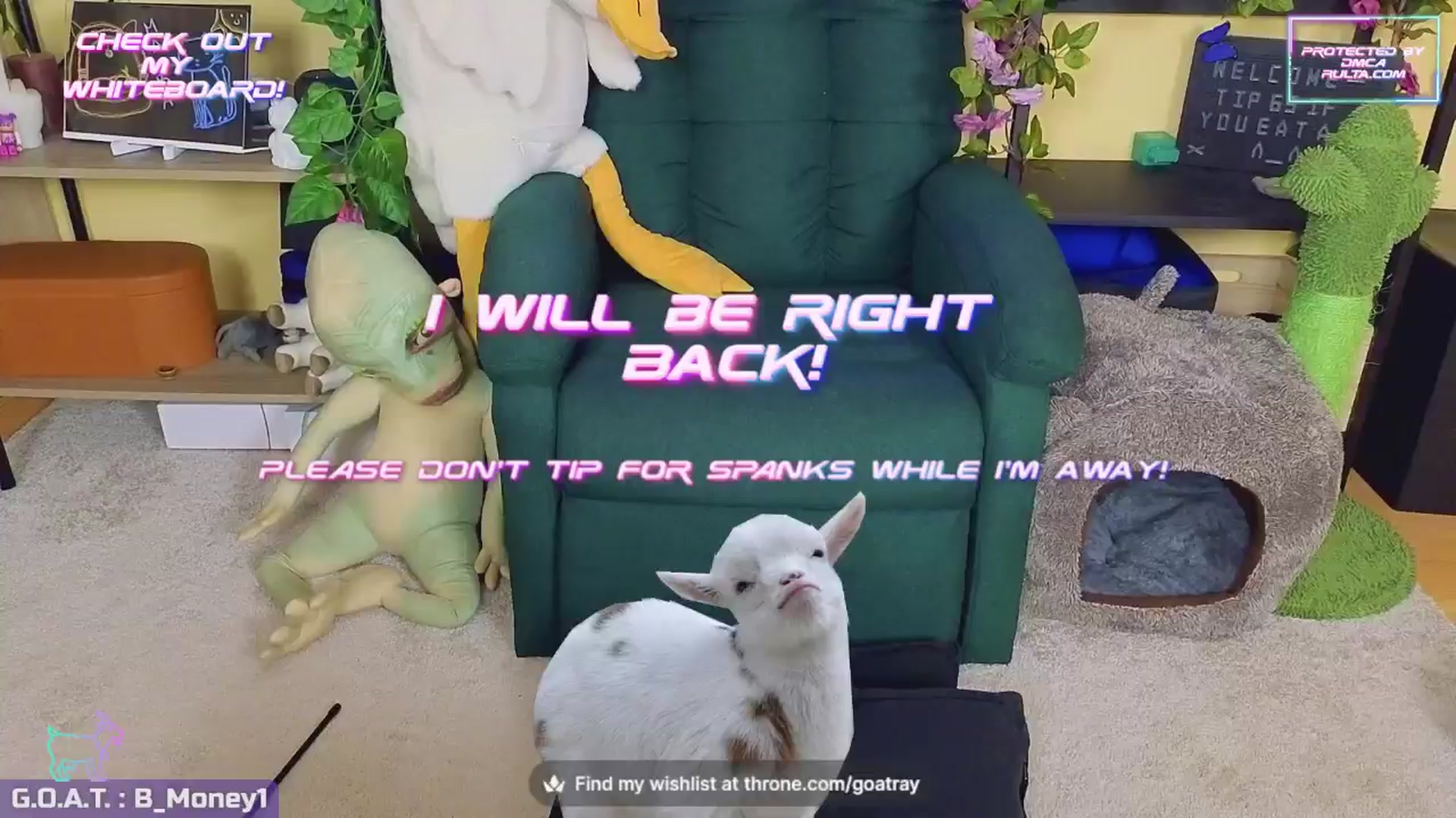 Gallery image thumbnail from TamaraRay's myfreecams stream on, 08/26/2024, 07:11 image 11 of 20