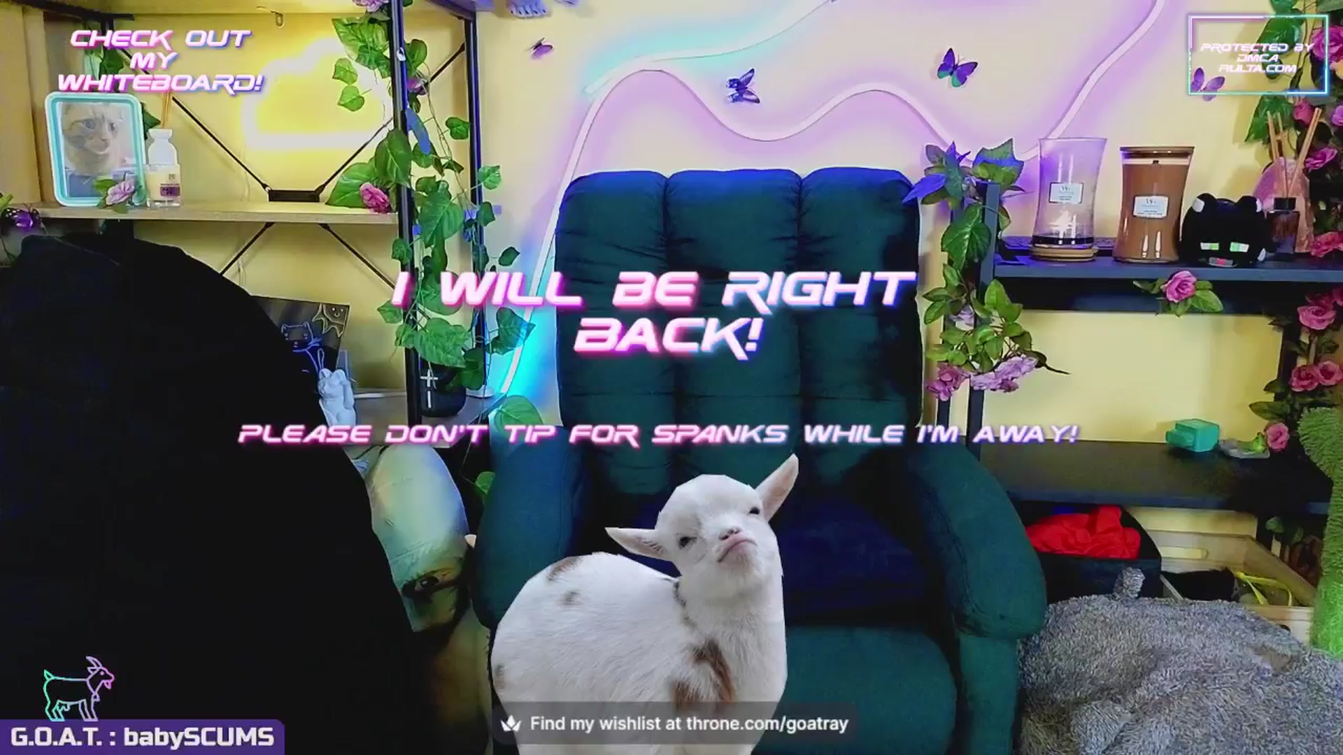 Gallery image thumbnail from TamaraRay's myfreecams stream on, 09/22/2024, 07:03 image 3 of 20