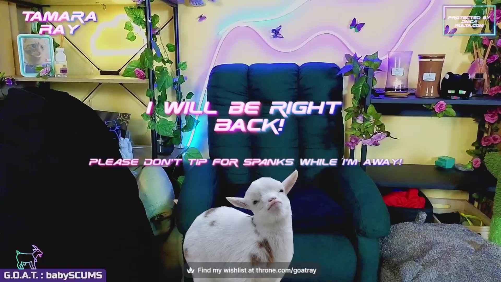 Gallery image thumbnail from TamaraRay's myfreecams stream on, 09/22/2024, 07:03 image 2 of 20