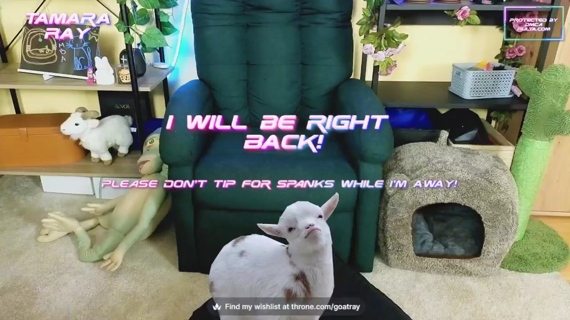 Gallery image thumbnail from TamaraRay's myfreecams stream on, 10/07/2024, 05:36 image 13 of 20