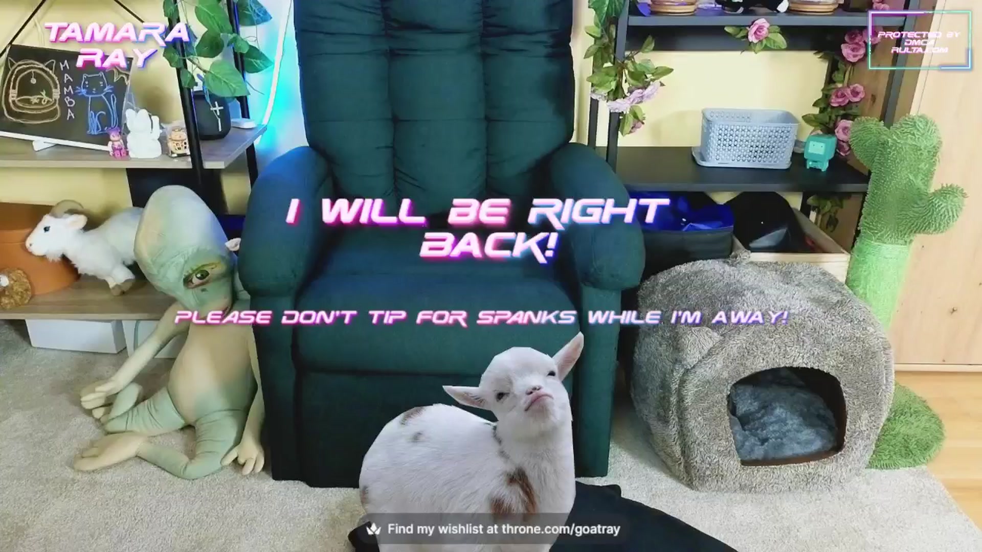 Gallery image thumbnail from TamaraRay's myfreecams stream on, 10/11/2024, 06:22 image 14 of 20