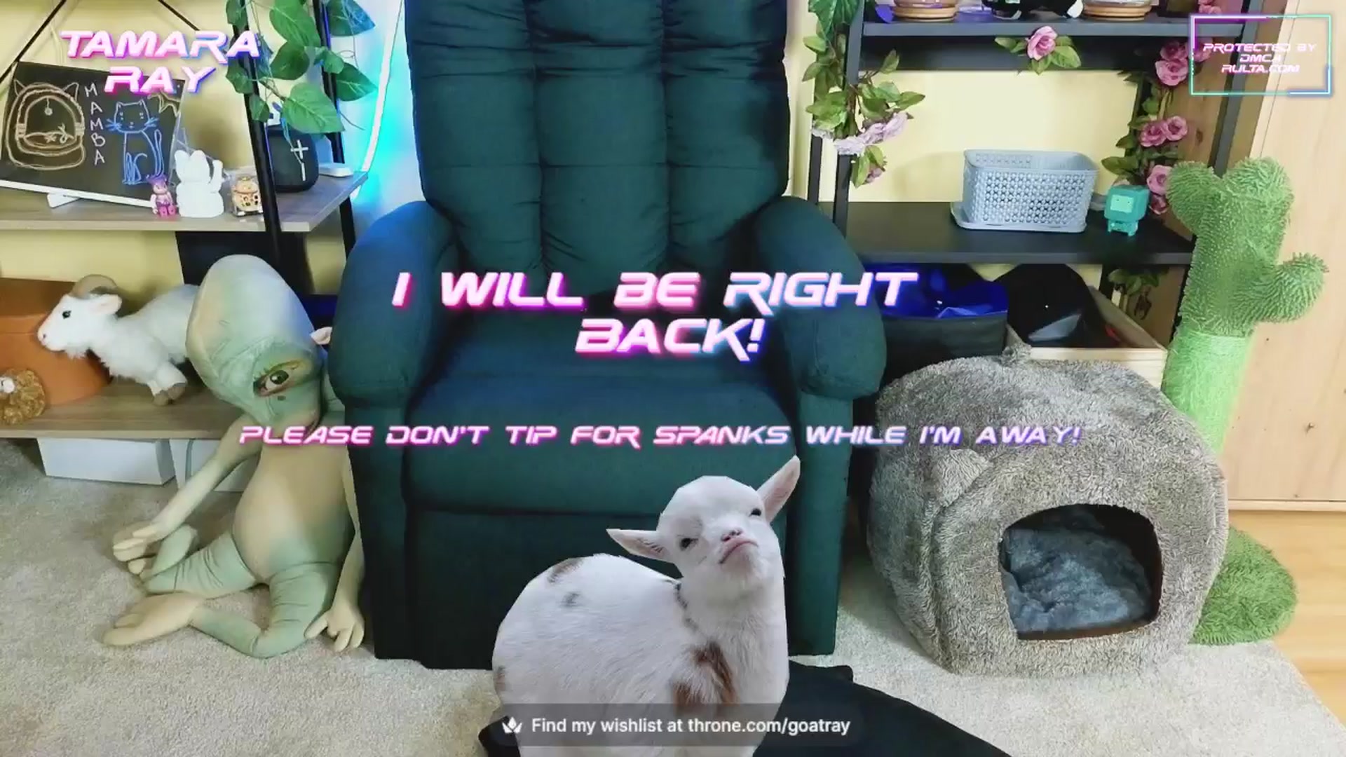 Gallery image thumbnail from TamaraRay's myfreecams stream on, 10/11/2024, 06:22 image 13 of 20