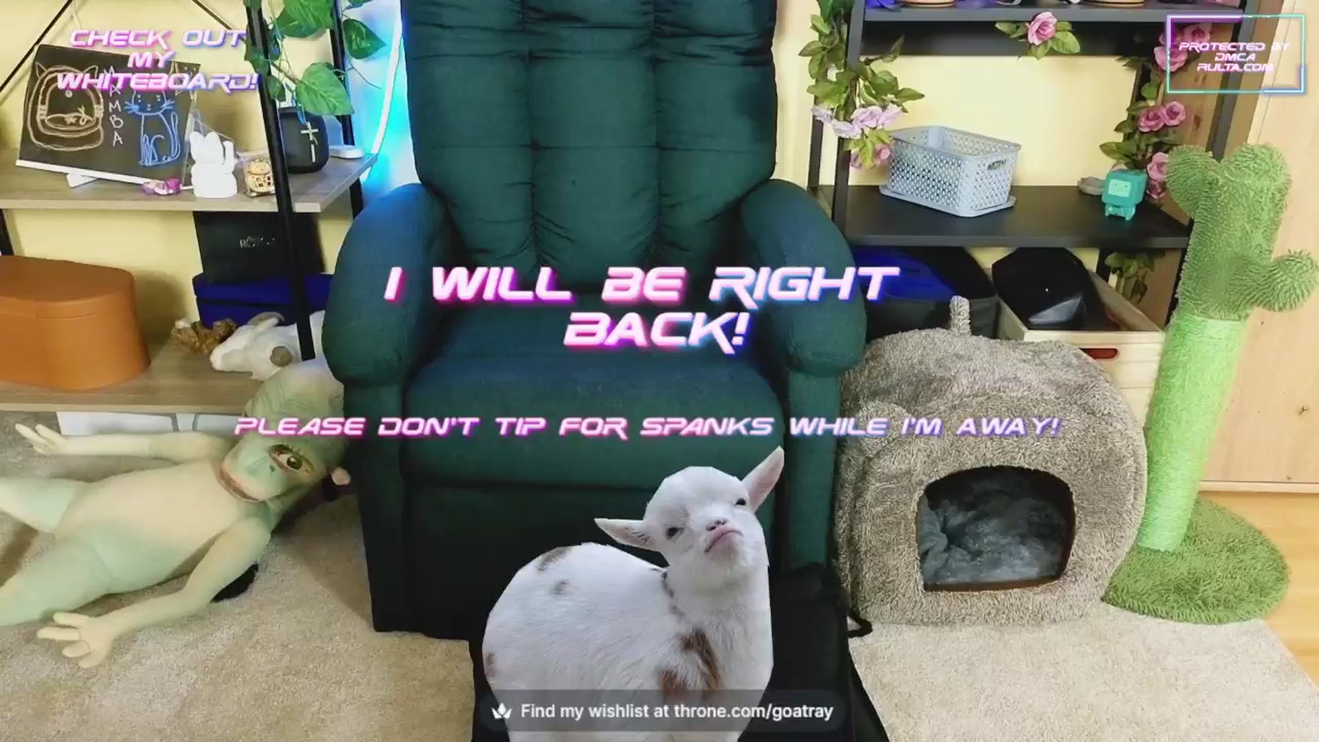 Gallery image thumbnail from TamaraRay's myfreecams stream on, 10/13/2024, 05:49 image 3 of 20