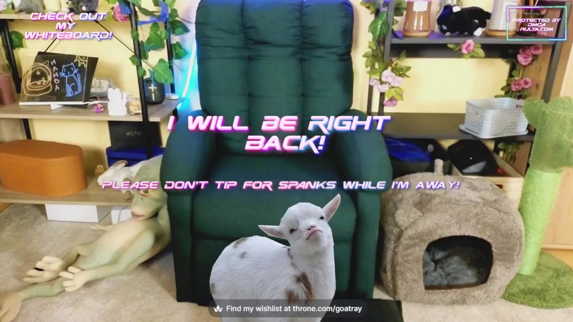 Gallery image thumbnail from TamaraRay's myfreecams stream on, 10/16/2024, 05:51 image 3 of 20