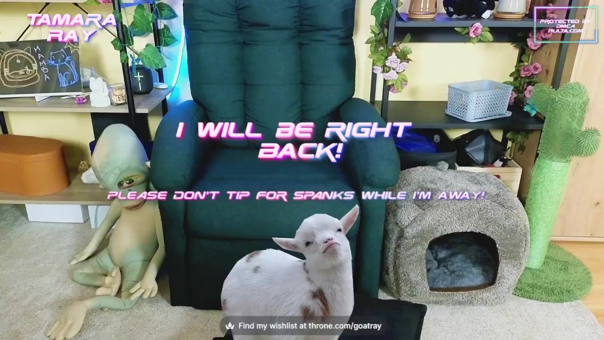 Gallery image thumbnail from TamaraRay's myfreecams stream on, 10/17/2024, 05:11 image 14 of 20
