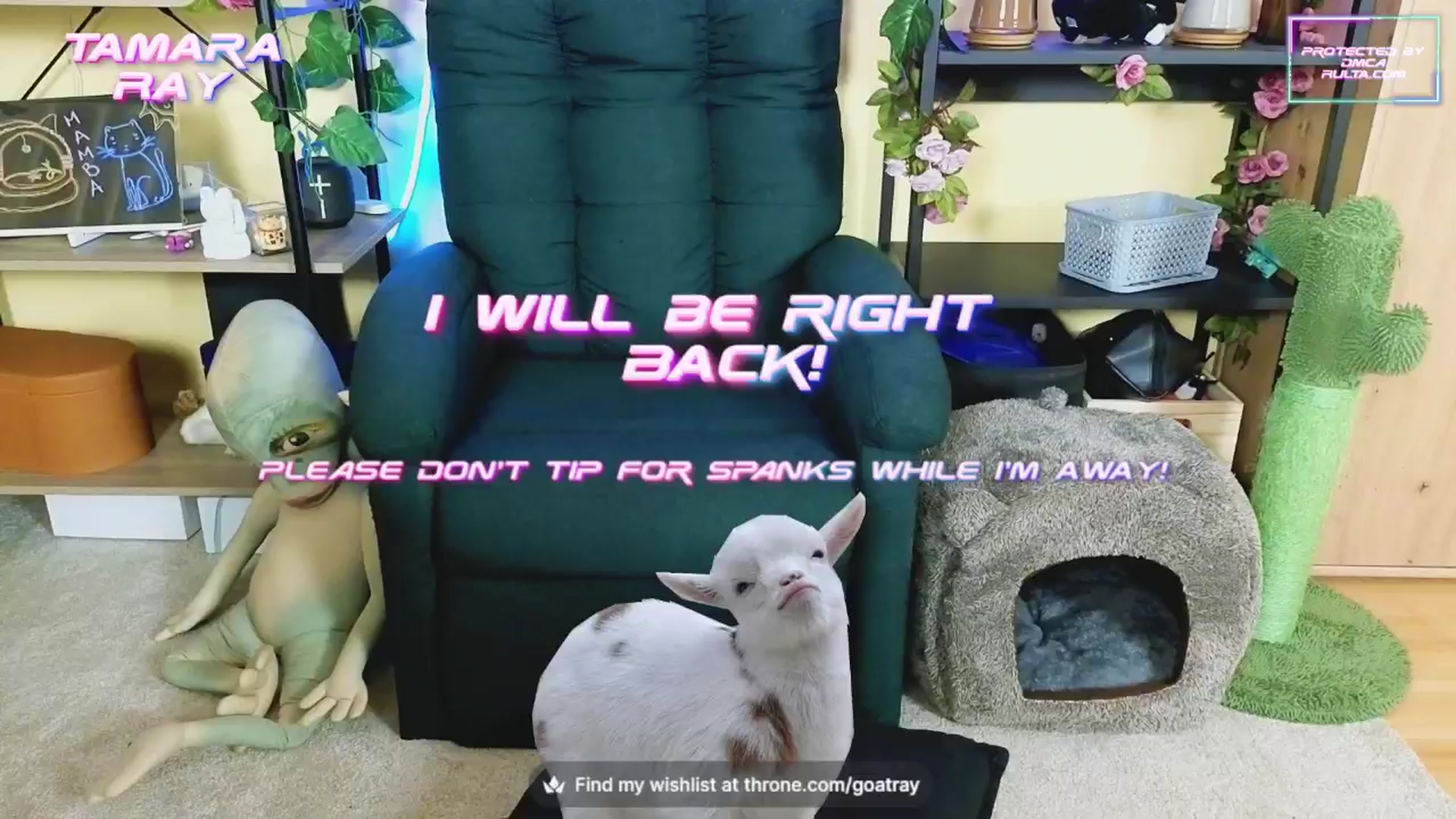 Gallery image thumbnail from TamaraRay's myfreecams stream on, 10/17/2024, 05:11 image 8 of 20