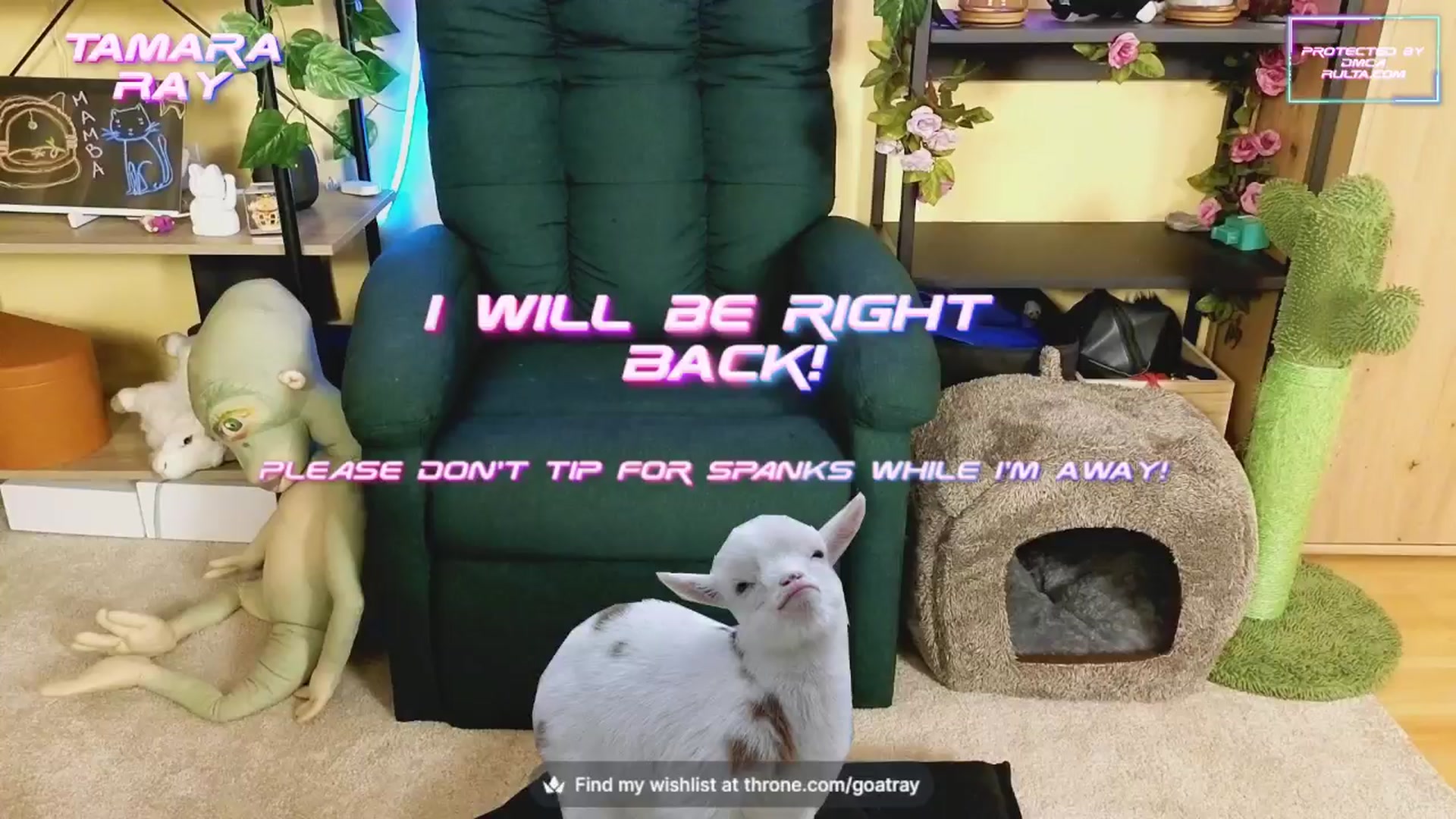 Gallery image thumbnail from TamaraRay's myfreecams stream on, 10/22/2024, 04:54 image 17 of 20