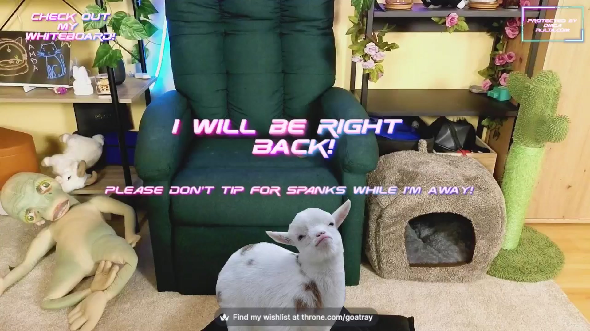 Gallery image thumbnail from TamaraRay's myfreecams stream on, 10/22/2024, 04:54 image 8 of 20