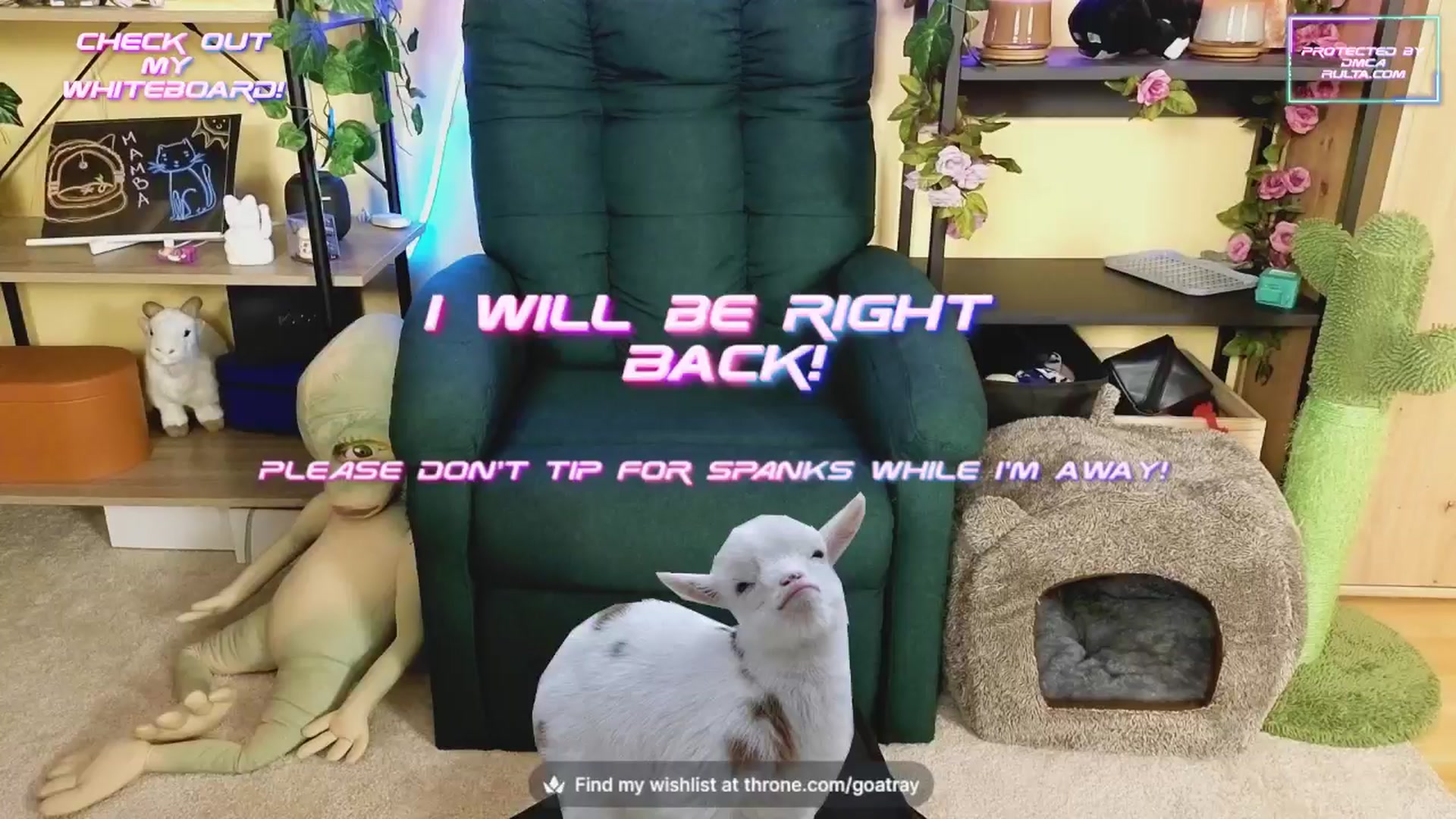 Gallery image thumbnail from TamaraRay's myfreecams stream on, 11/04/2024, 06:10 image 13 of 20