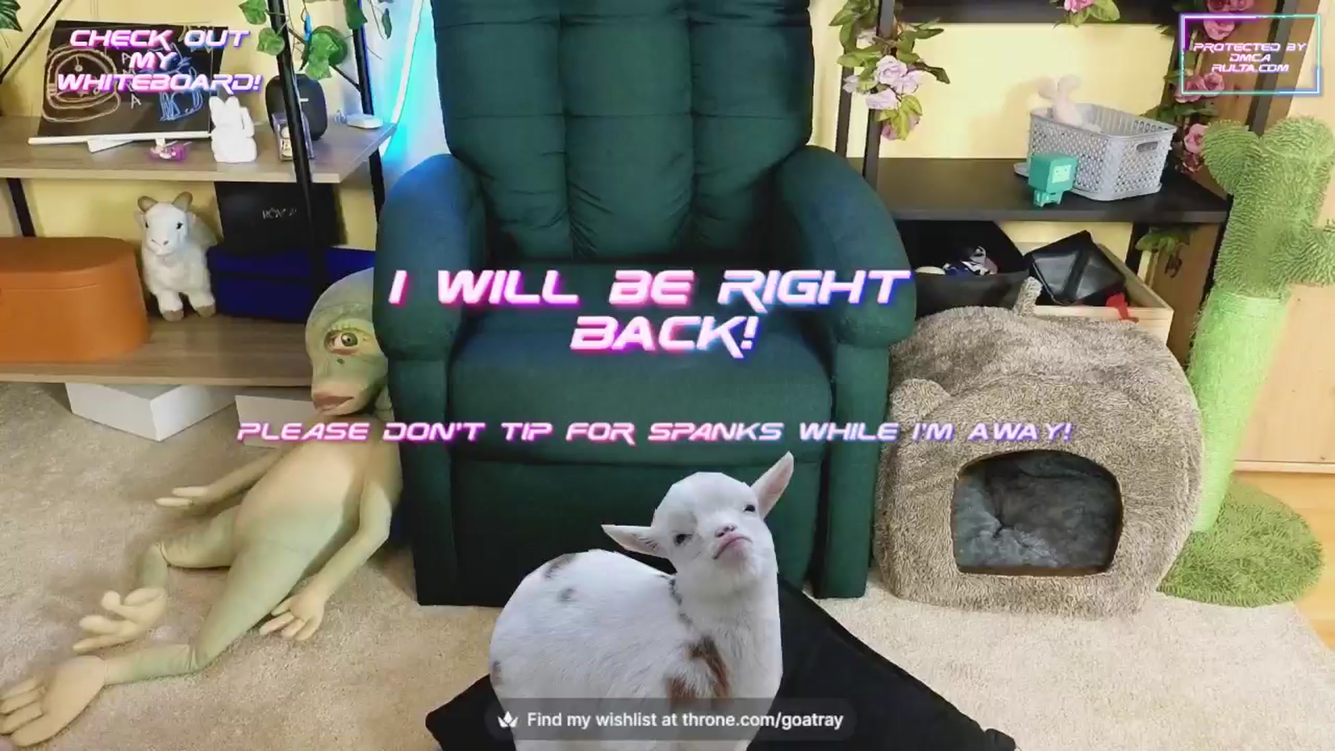Gallery image thumbnail from TamaraRay's myfreecams stream on, 11/05/2024, 04:04 image 15 of 20