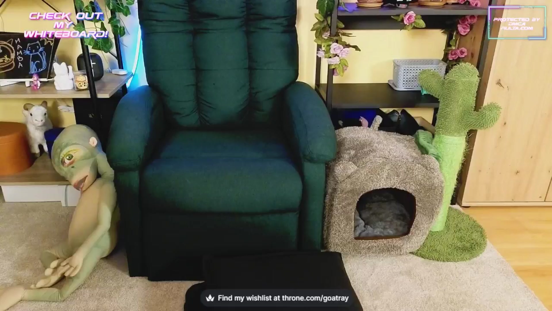 Gallery image thumbnail from TamaraRay's myfreecams stream on, 11/14/2024, 05:26 image 3 of 20