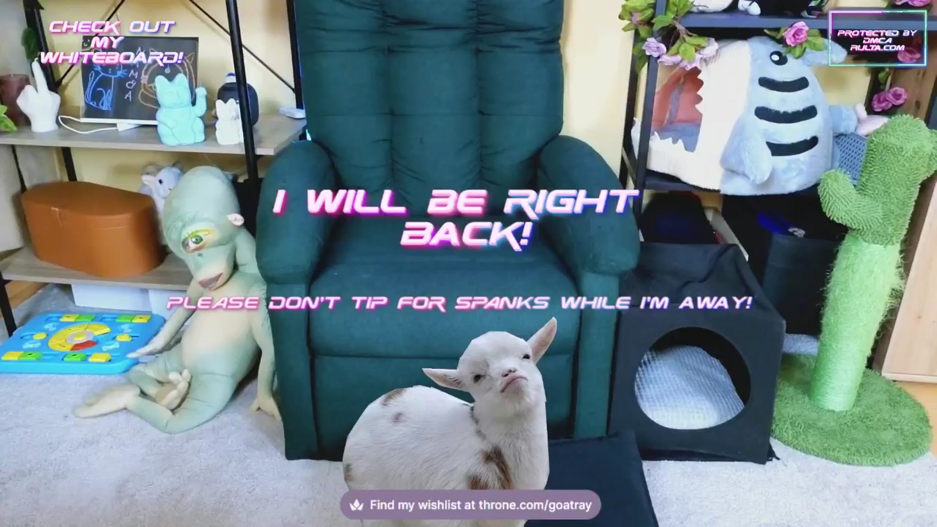 Gallery image thumbnail from TamaraRay's myfreecams stream on, 01/30/2025, 06:39 image 6 of 20